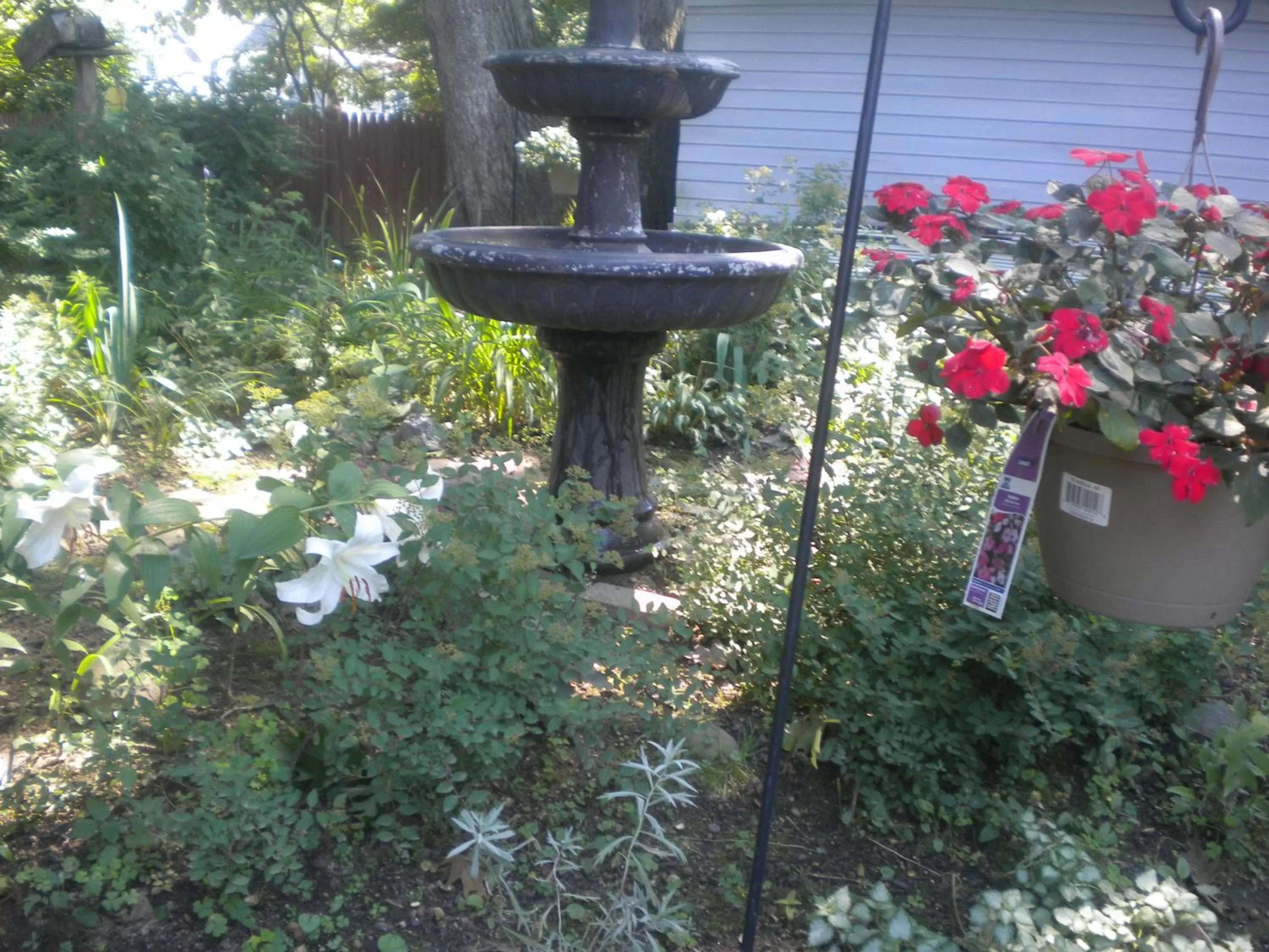 Garden in Fleetwood House Bed and Breakfast