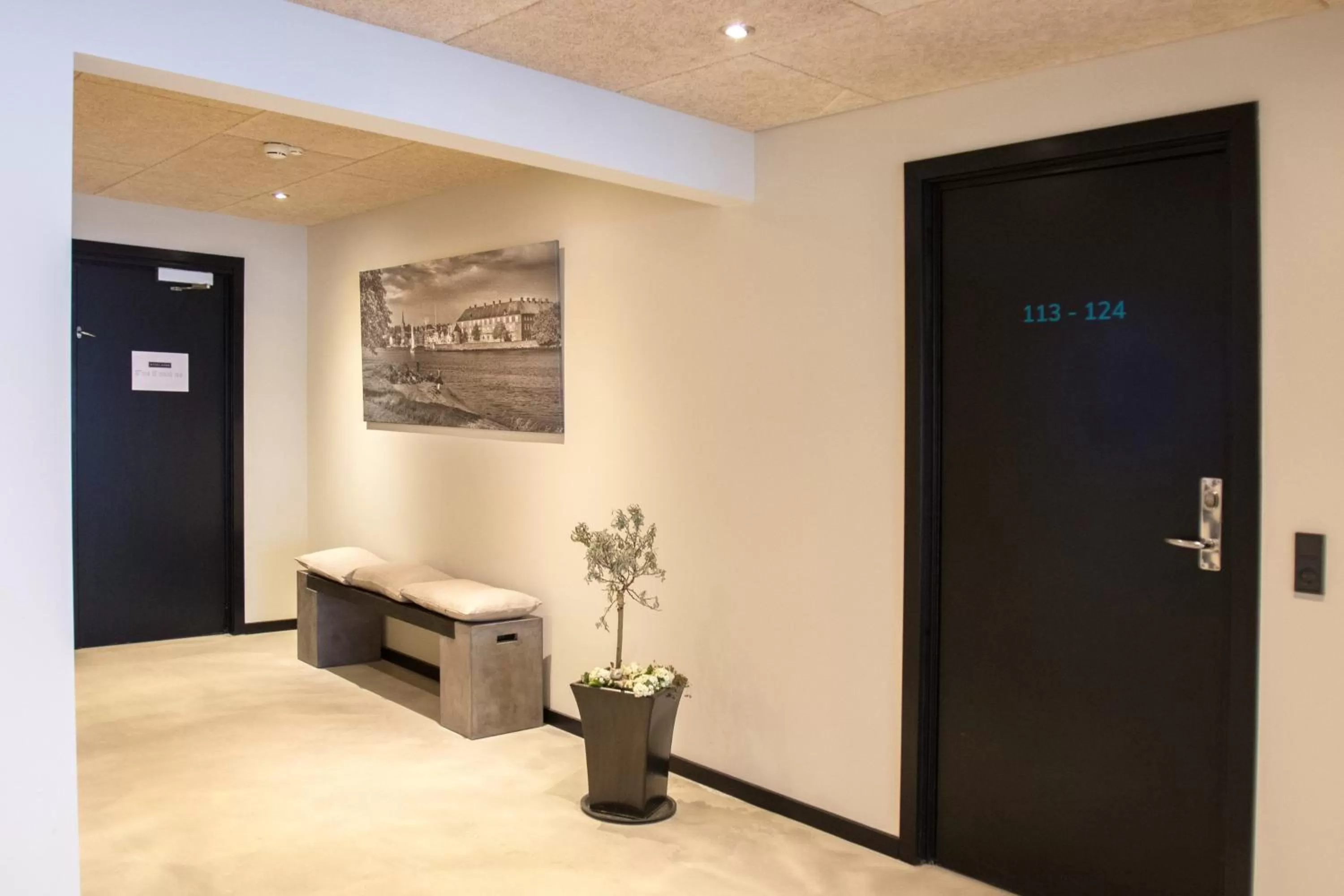 Decorative detail in Hotel 6400