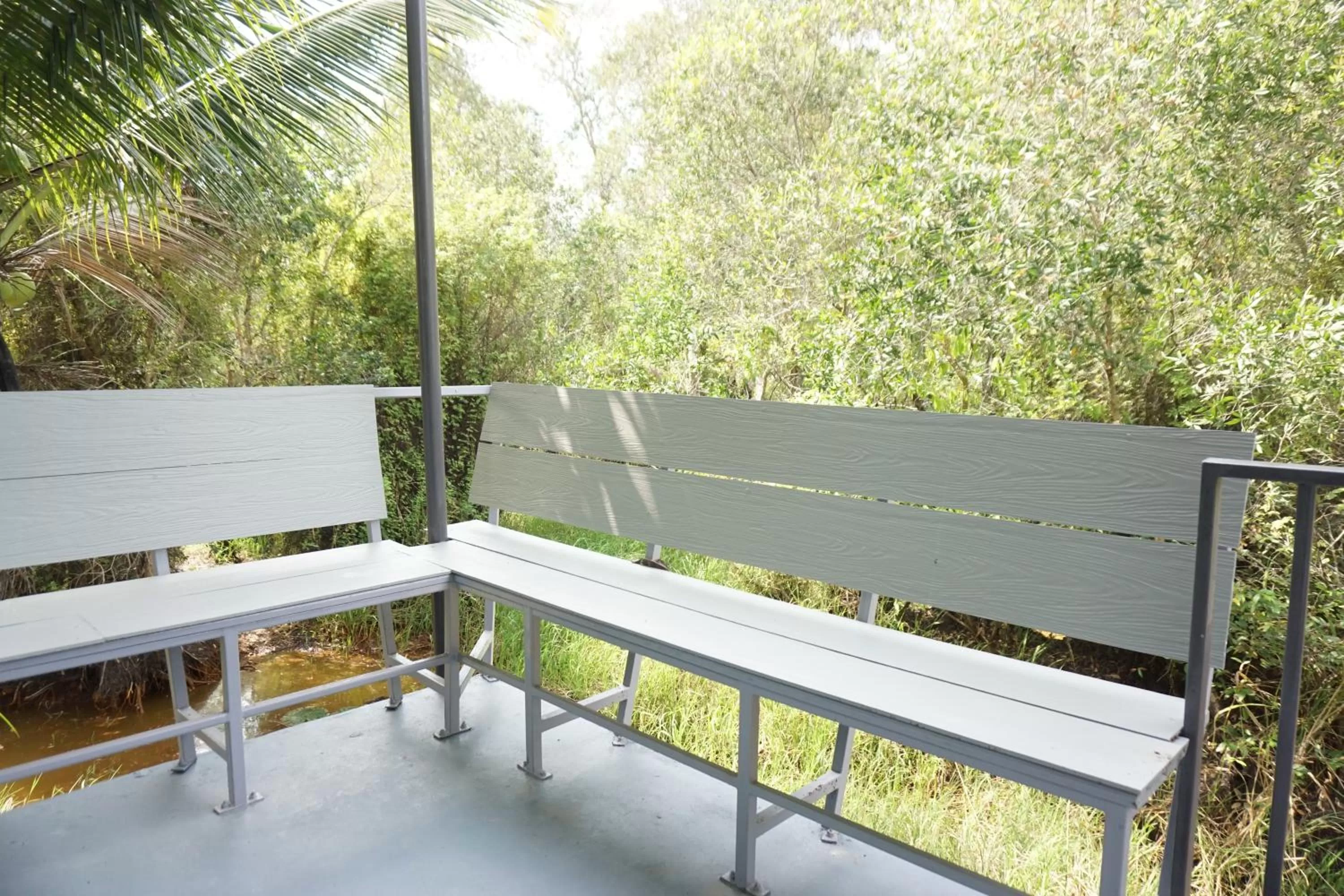 แกรนด์ ฟอเรสท์ Grand Forest