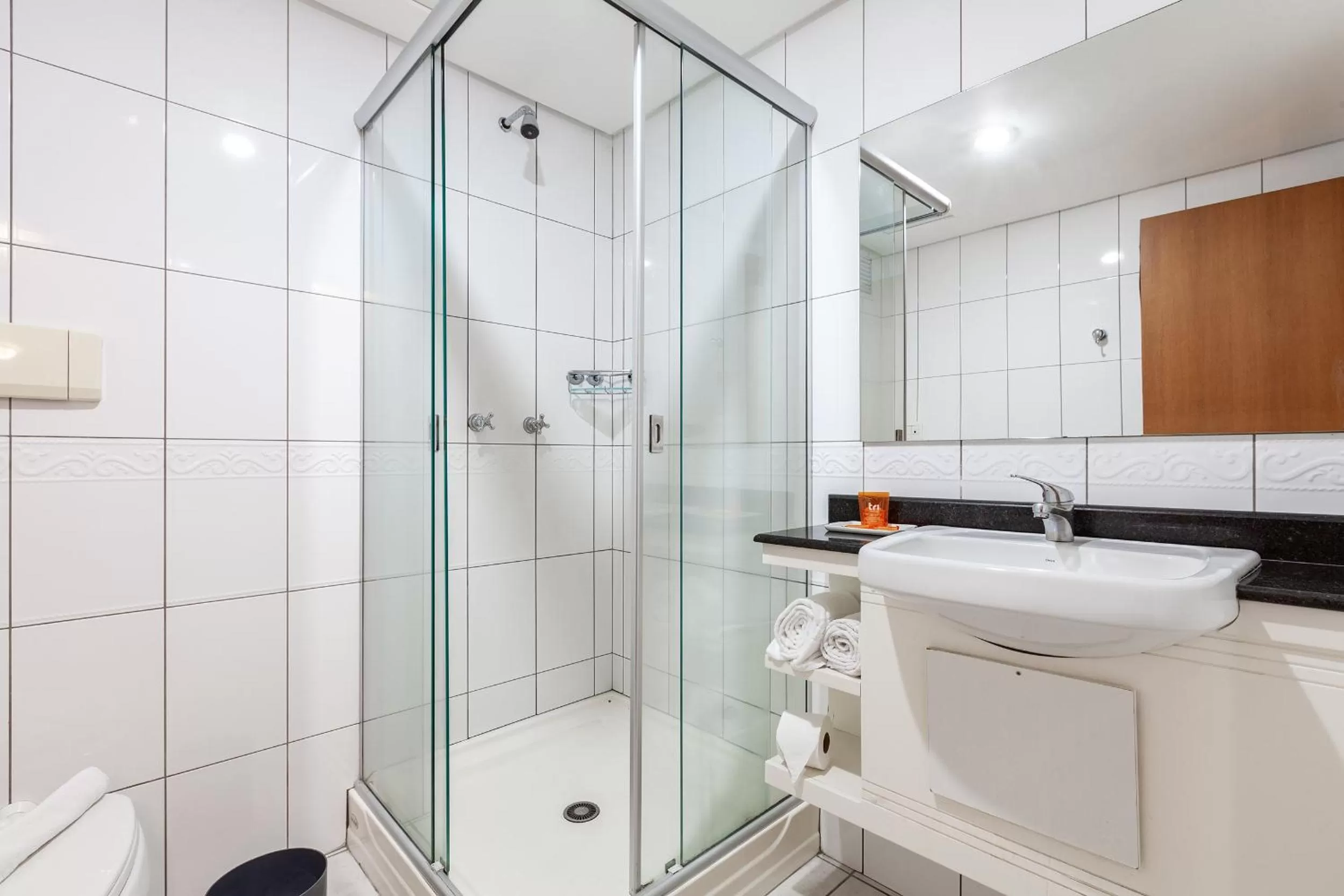 Bathroom in Tri Hotel Executive Caxias