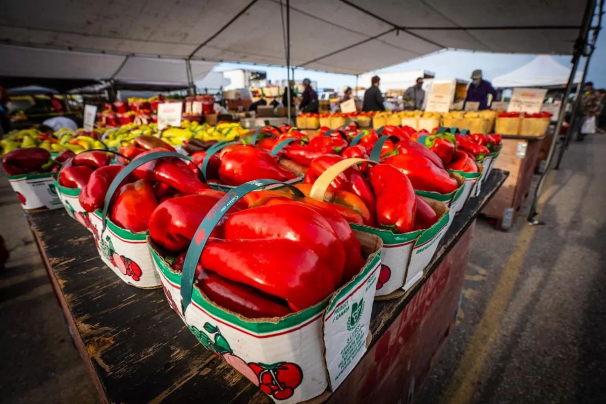 Day in Staybridge Suites - Waterloo - St. Jacobs Area