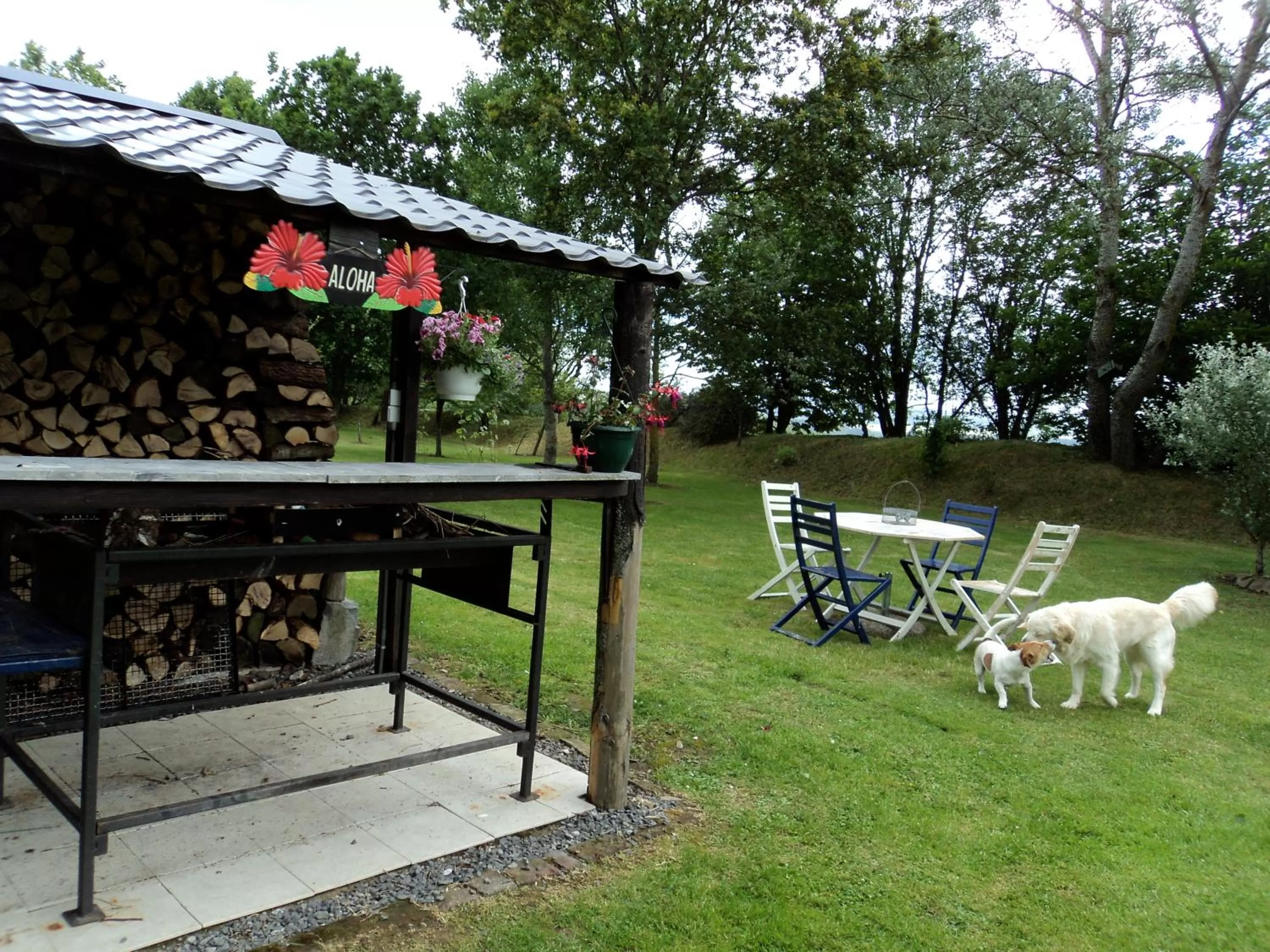 Pets in B&B La Niouche