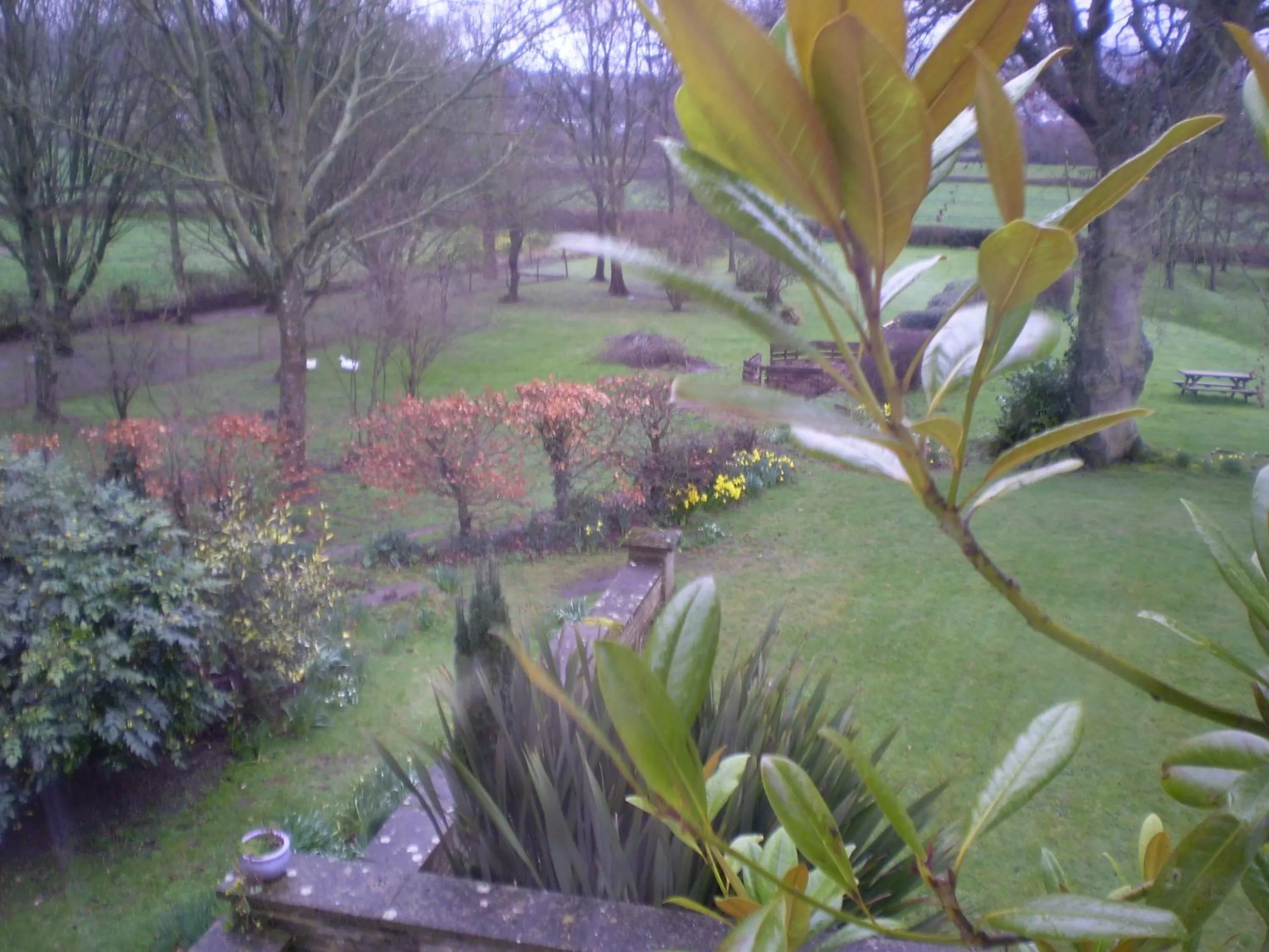 Garden view in Buckley Farmhouse B & B