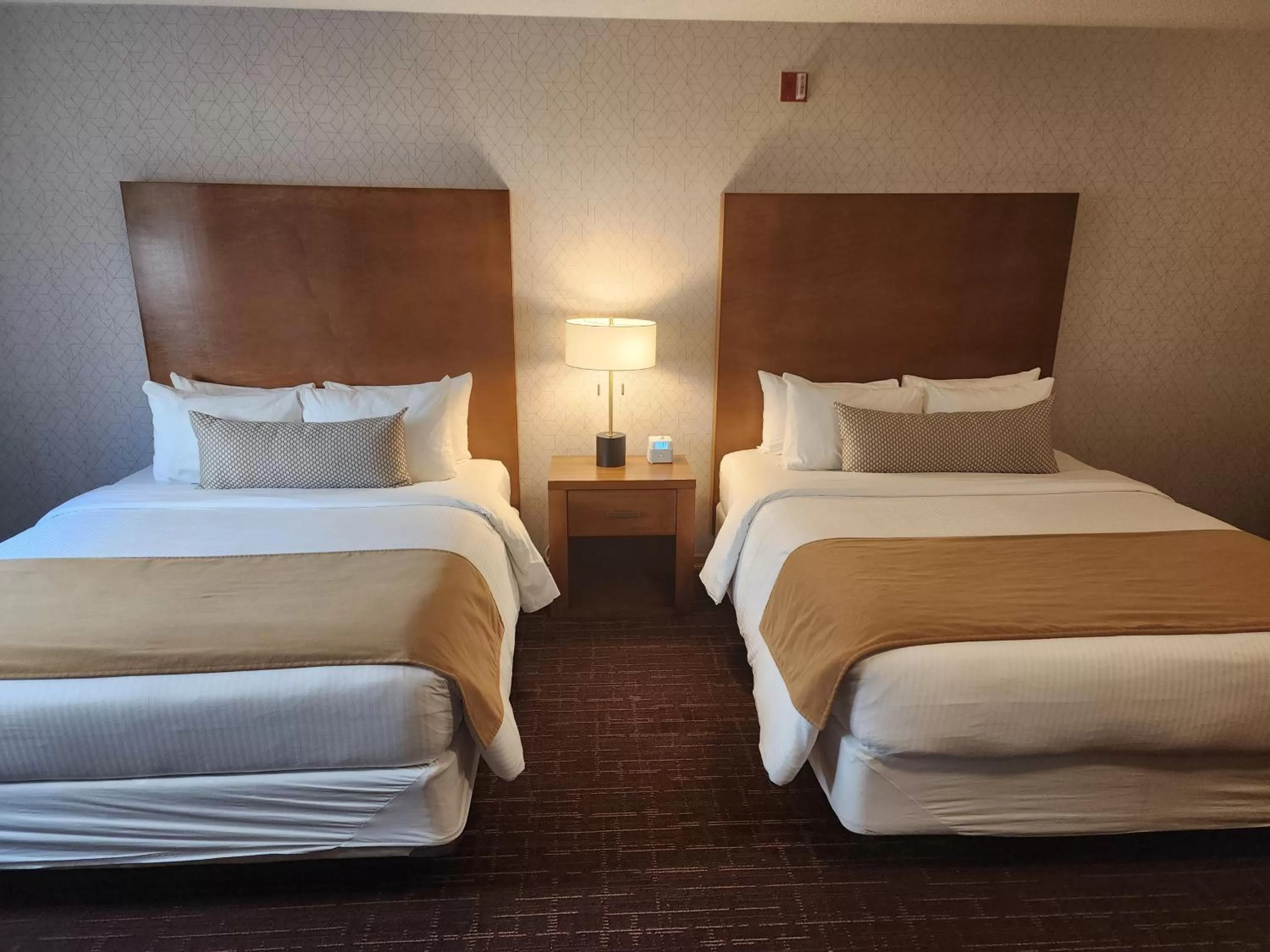 Family Suite in Banff Inn