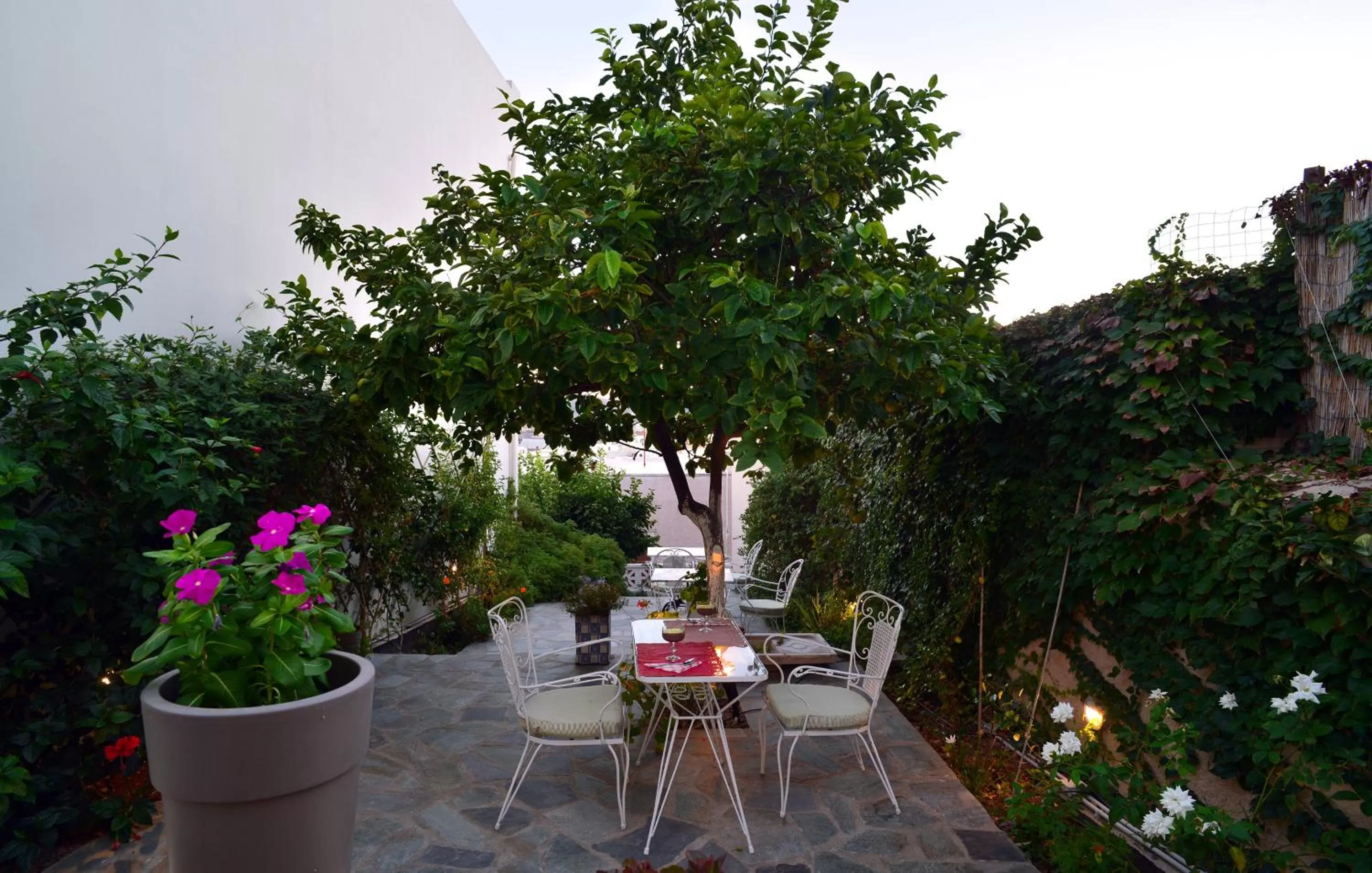 Garden in 1901 Hermoupolis