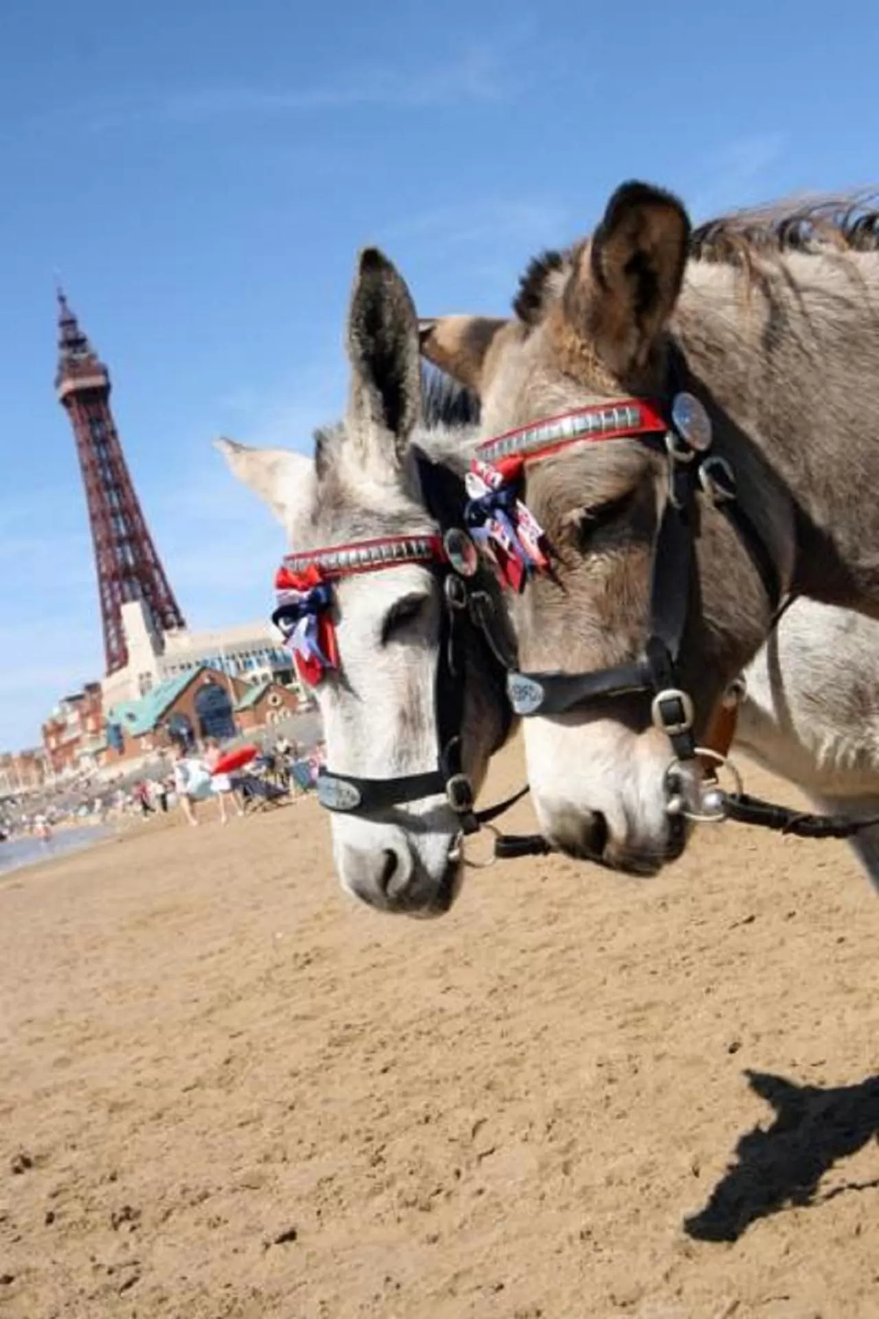 Area and facilities in The Savoy Hotel