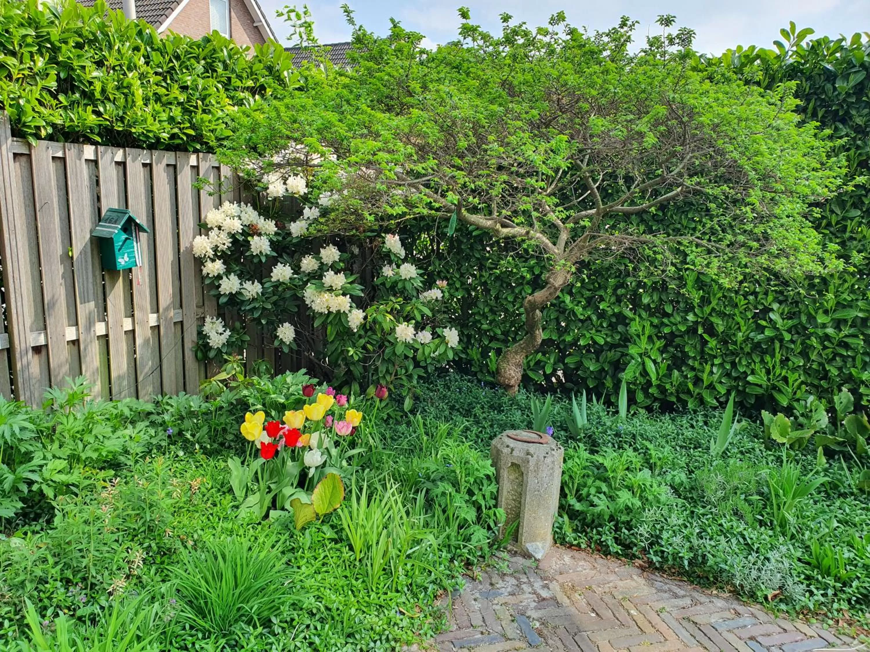 Garden in B&B de Loeff