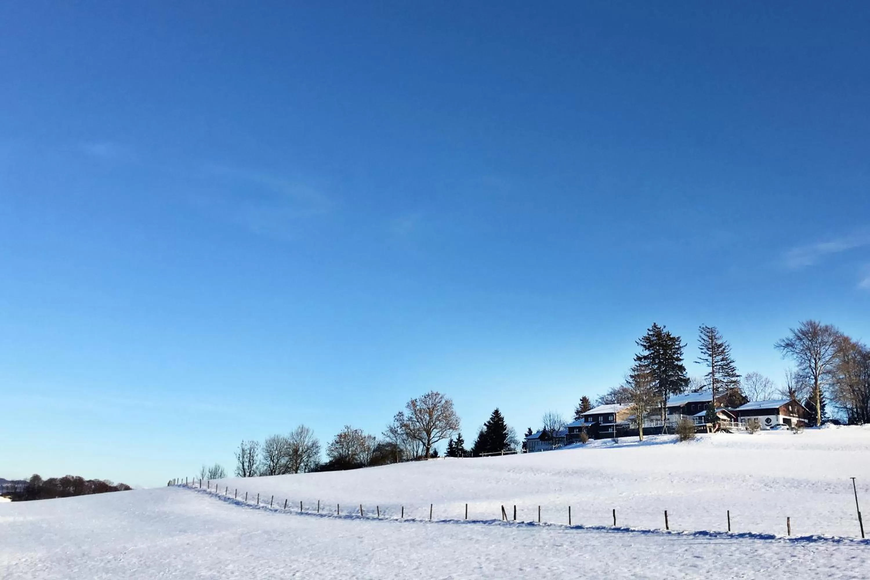 Facade/entrance in Berghotel Lothar-Mai-Haus