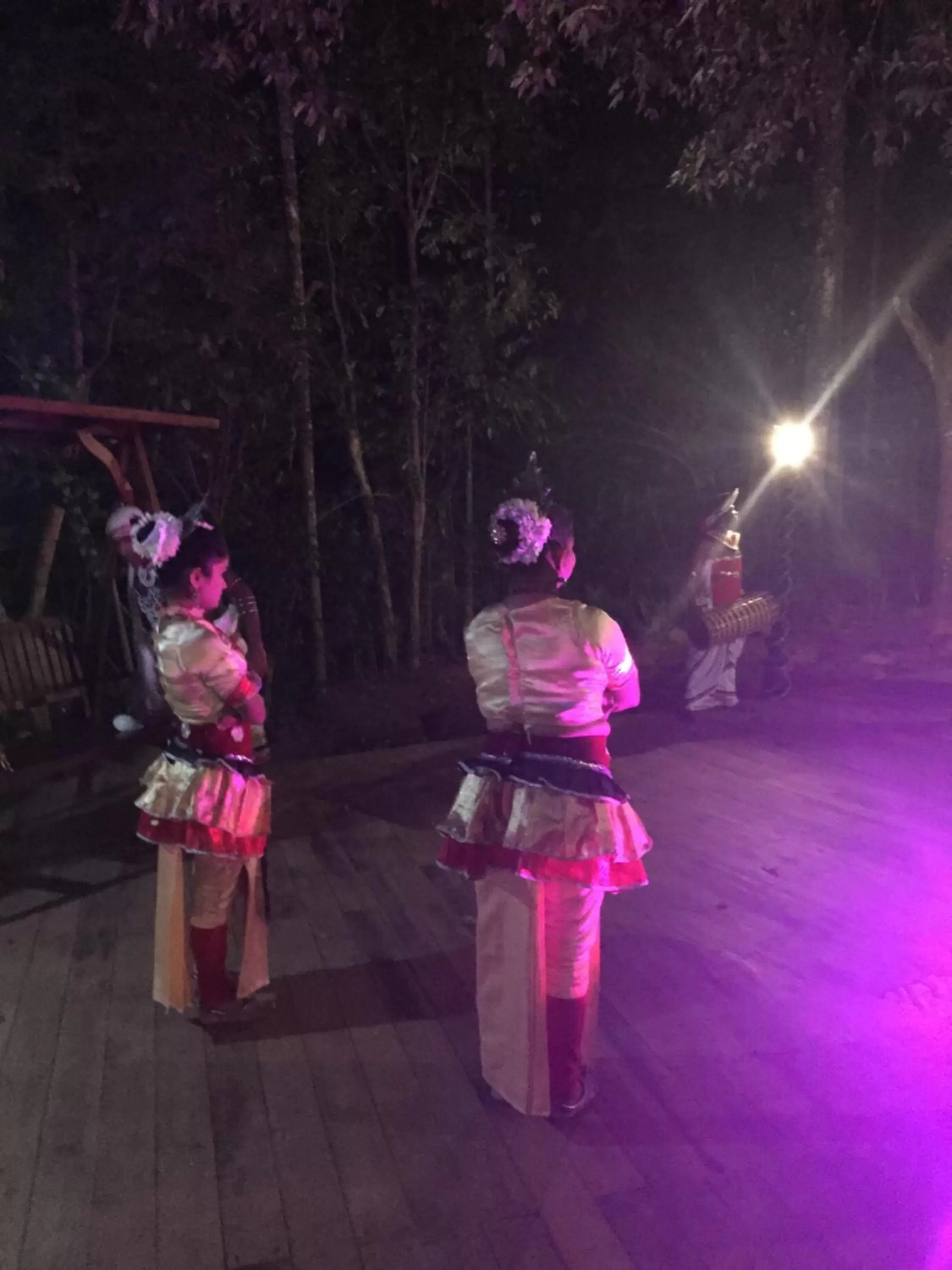 Other in Le leopard d 'argent