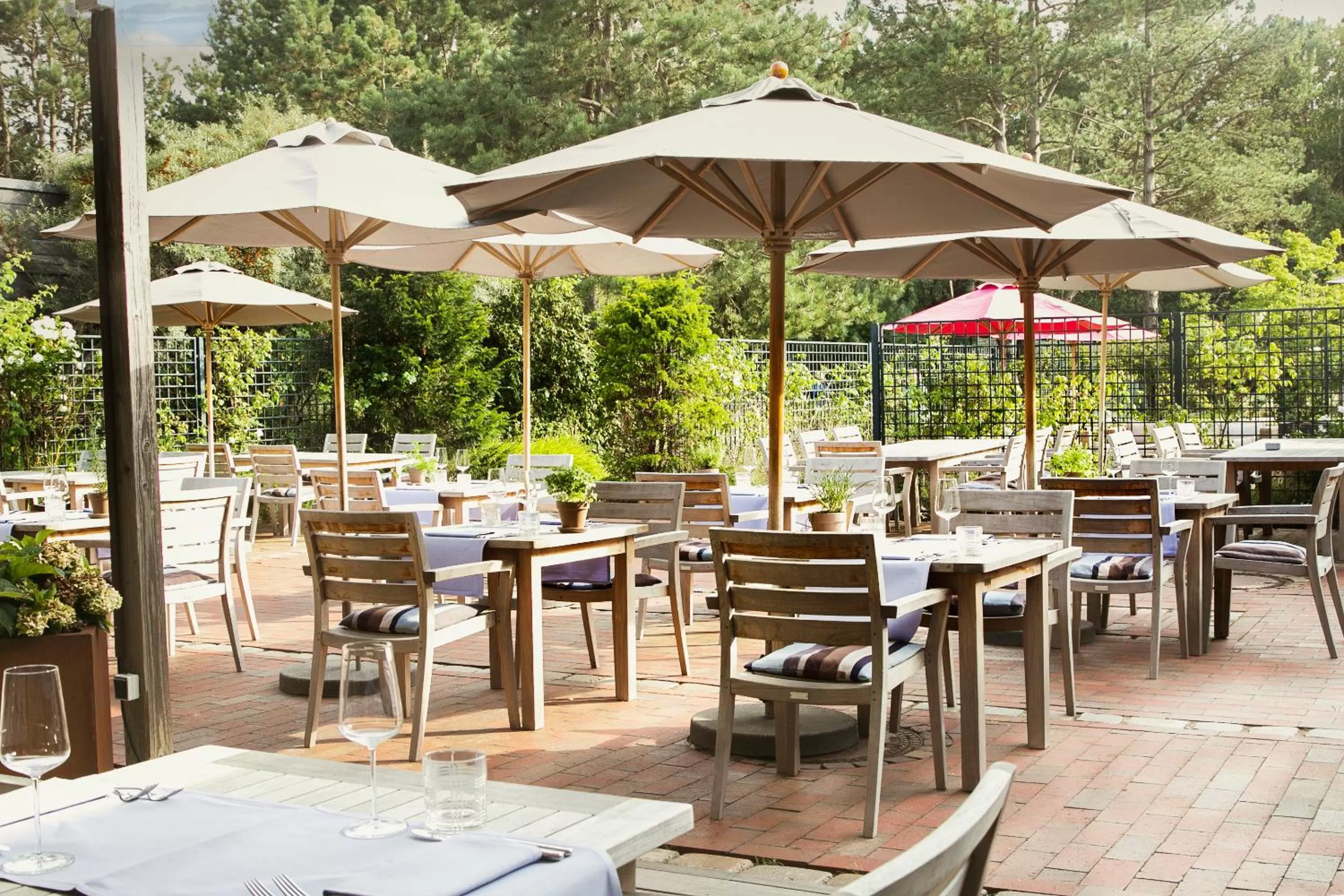 Restaurant/places to eat in Aalernhüs hotel & spa