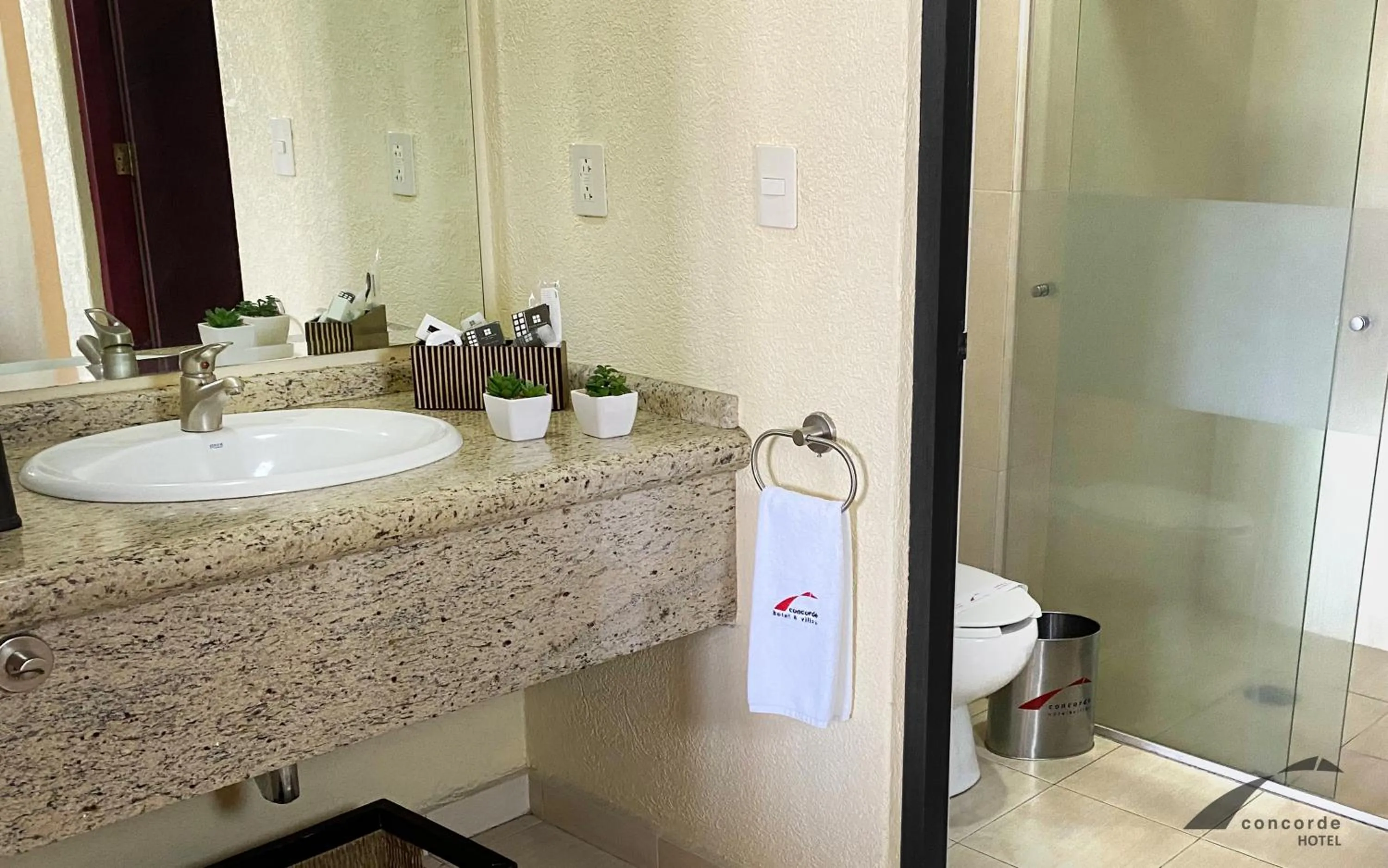 Bathroom in Hotel Concorde Toluca