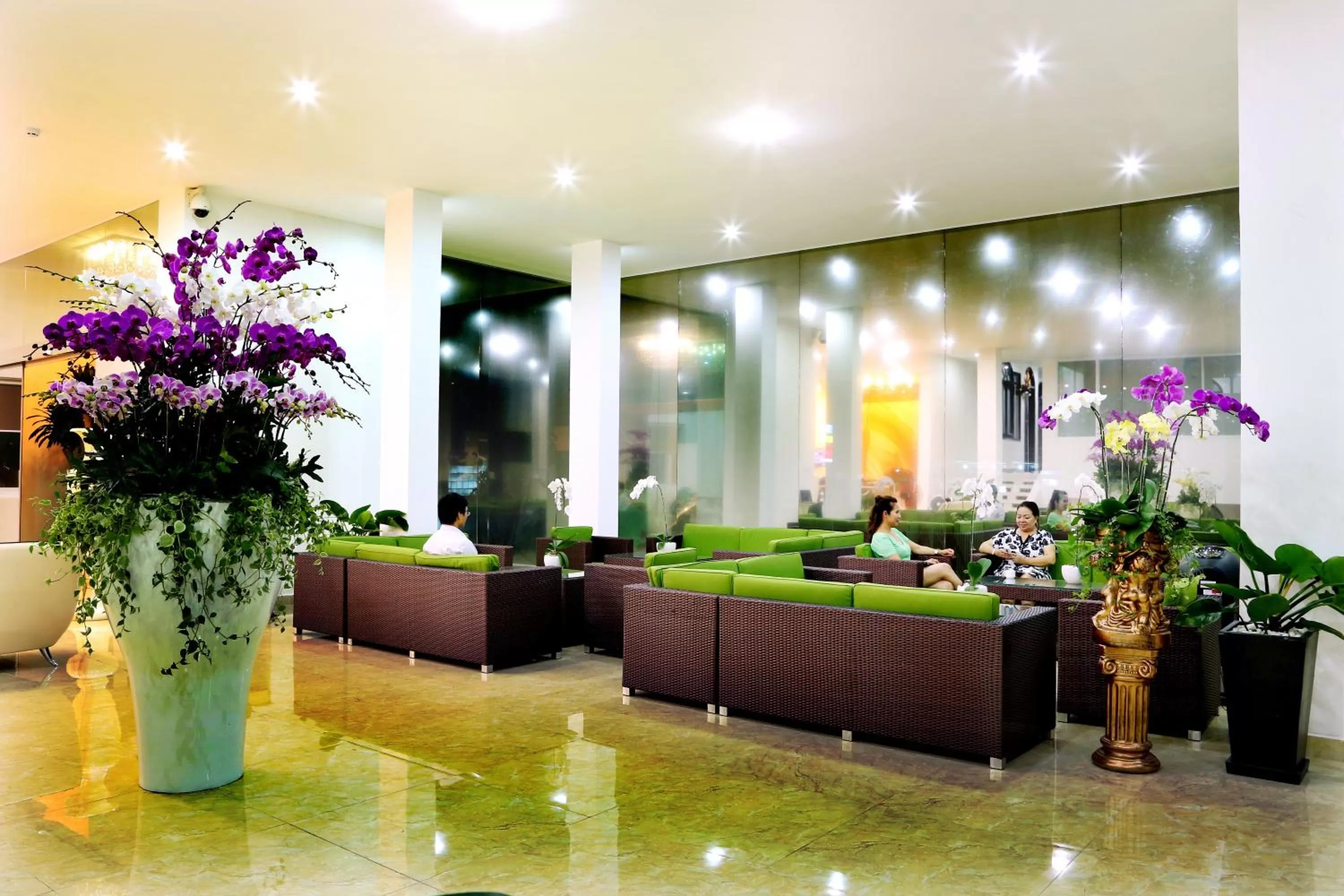 Communal lounge/ TV room in Thien Ha Hotel & Apartment