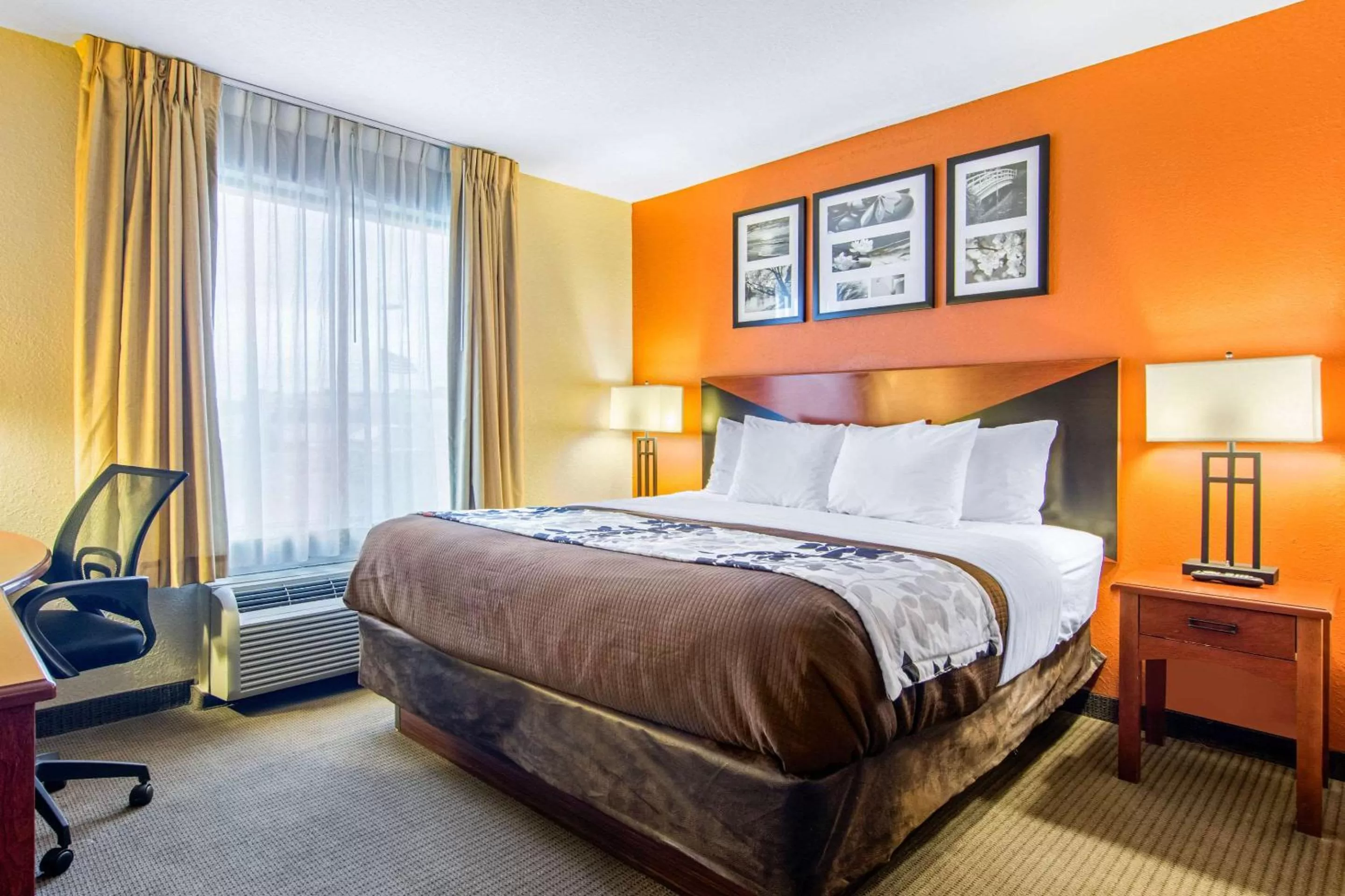 Photo of the whole room, Bed in Sleep Inn & Suites Athens South