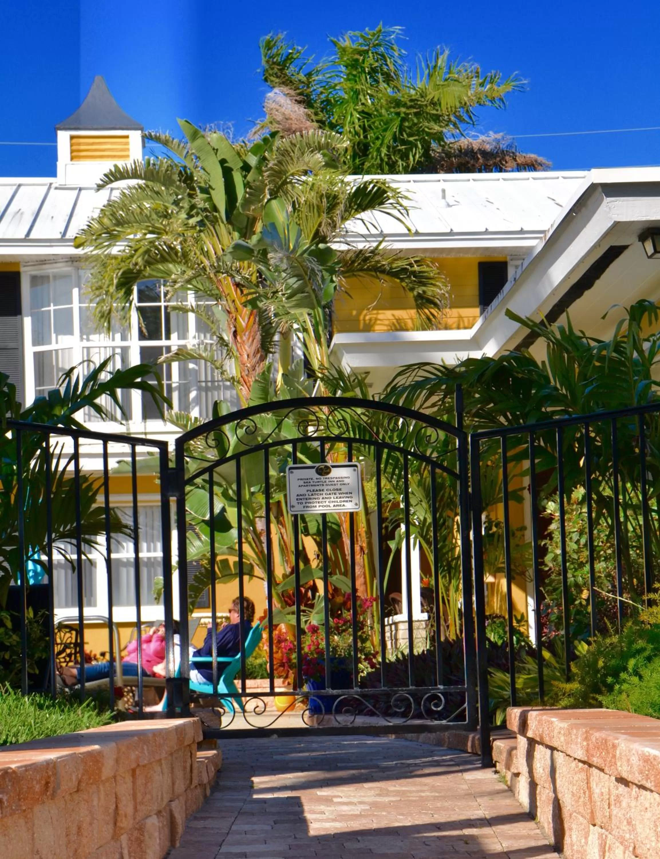 Swimming pool in Sea Turtle Inn