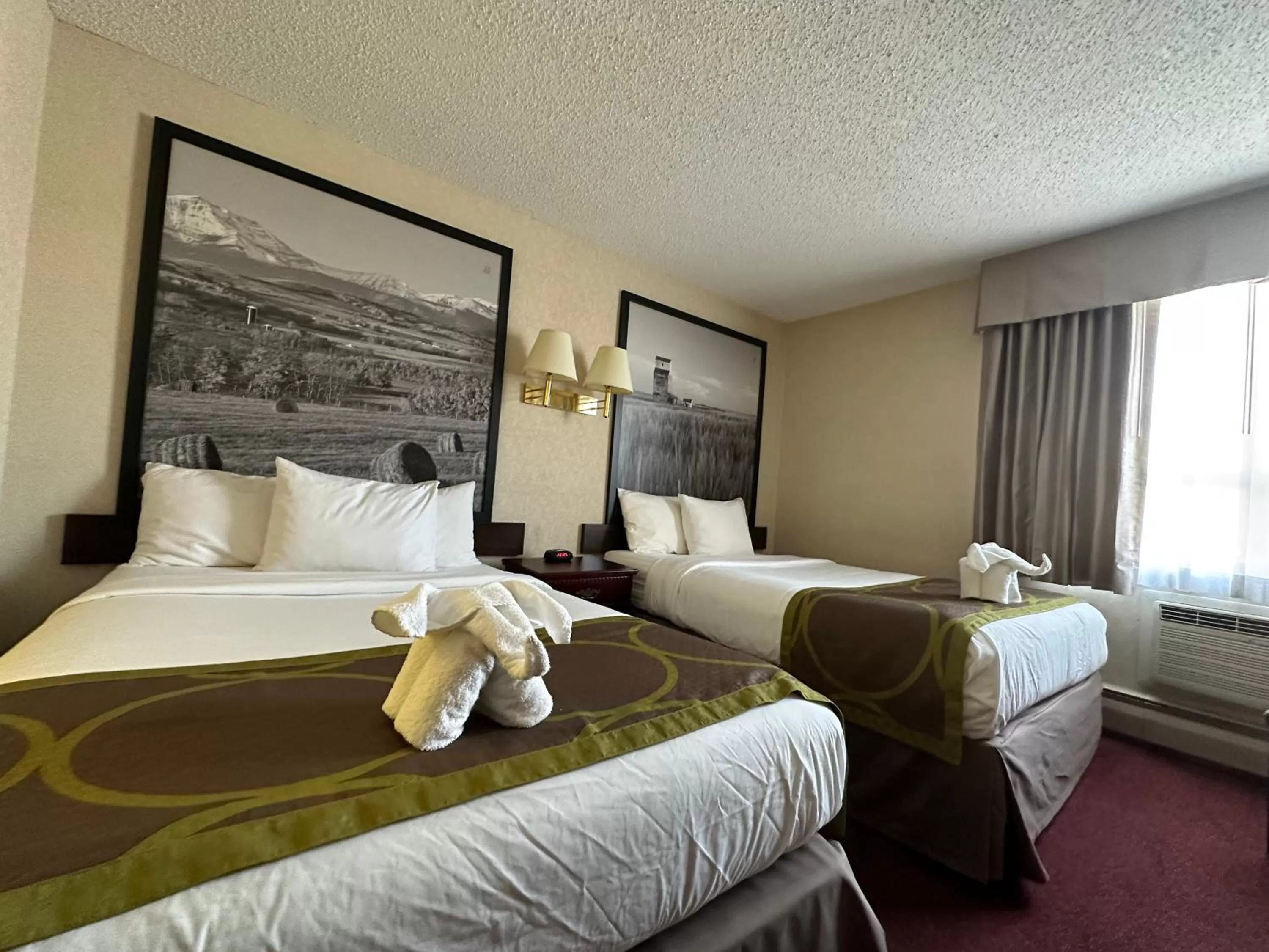 Bed in Super 8 by Wyndham Lethbridge