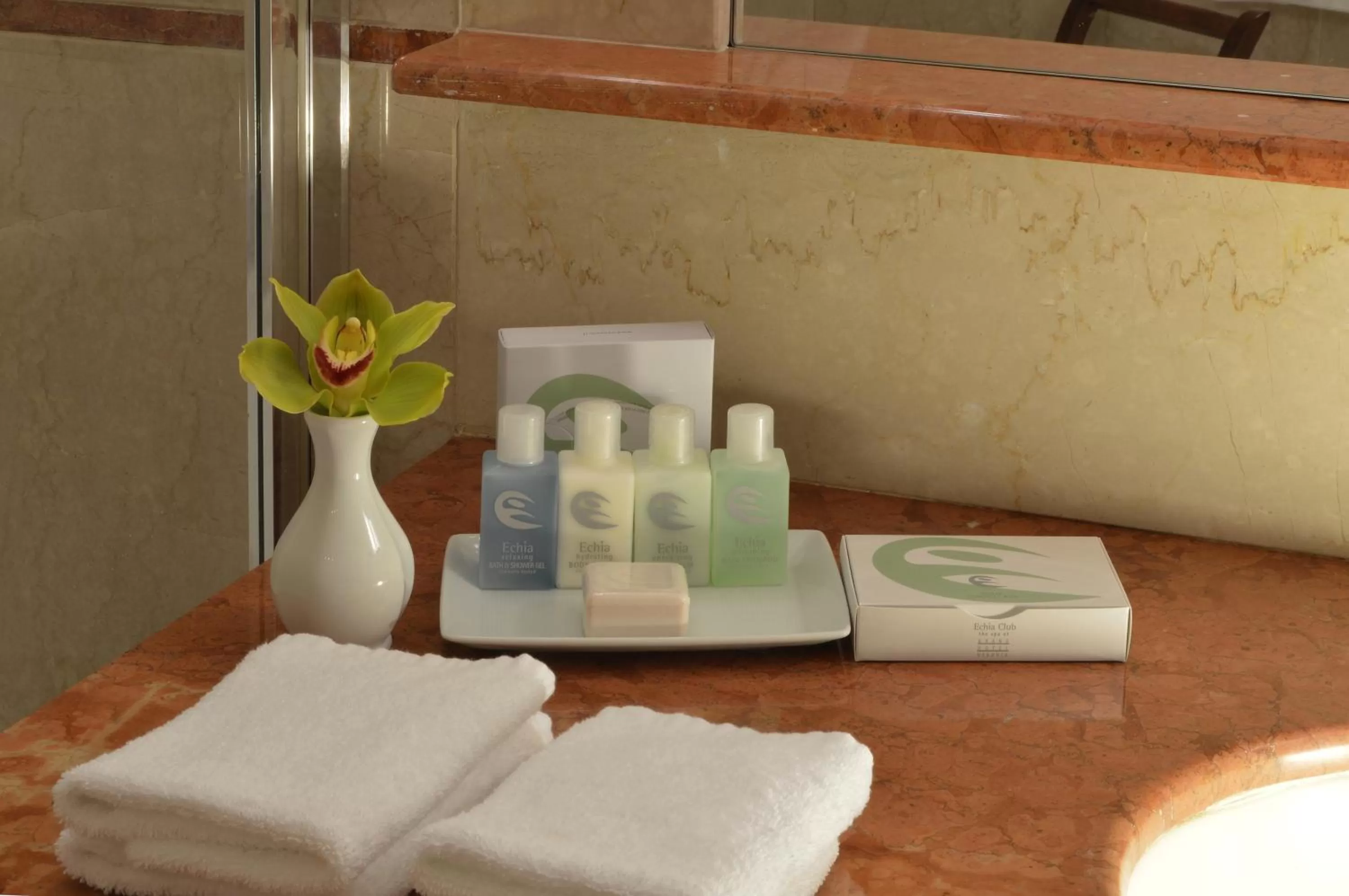 Bathroom in Grand Hotel Vesuvio