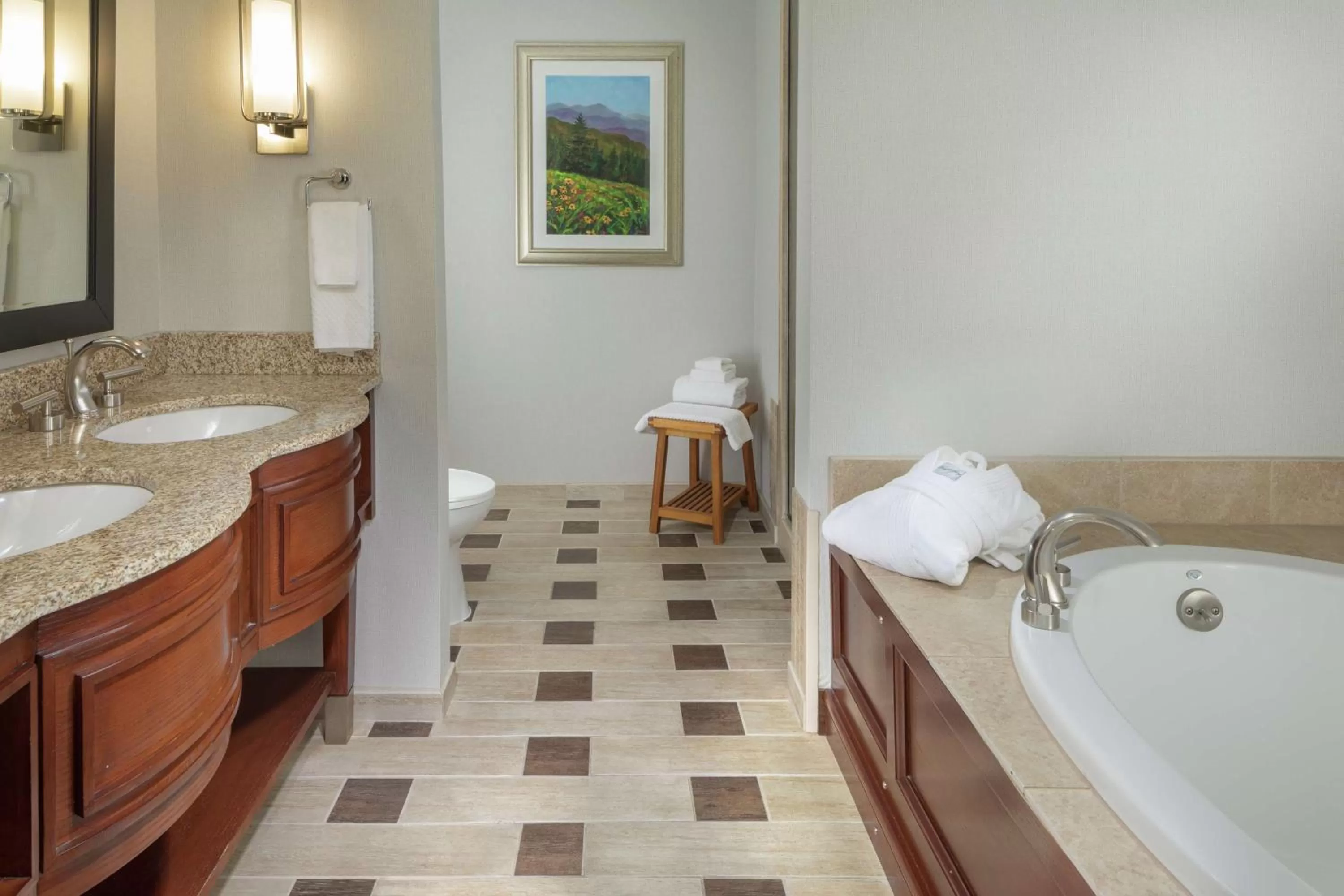 Bathroom in DoubleTree by Hilton Biltmore/Asheville