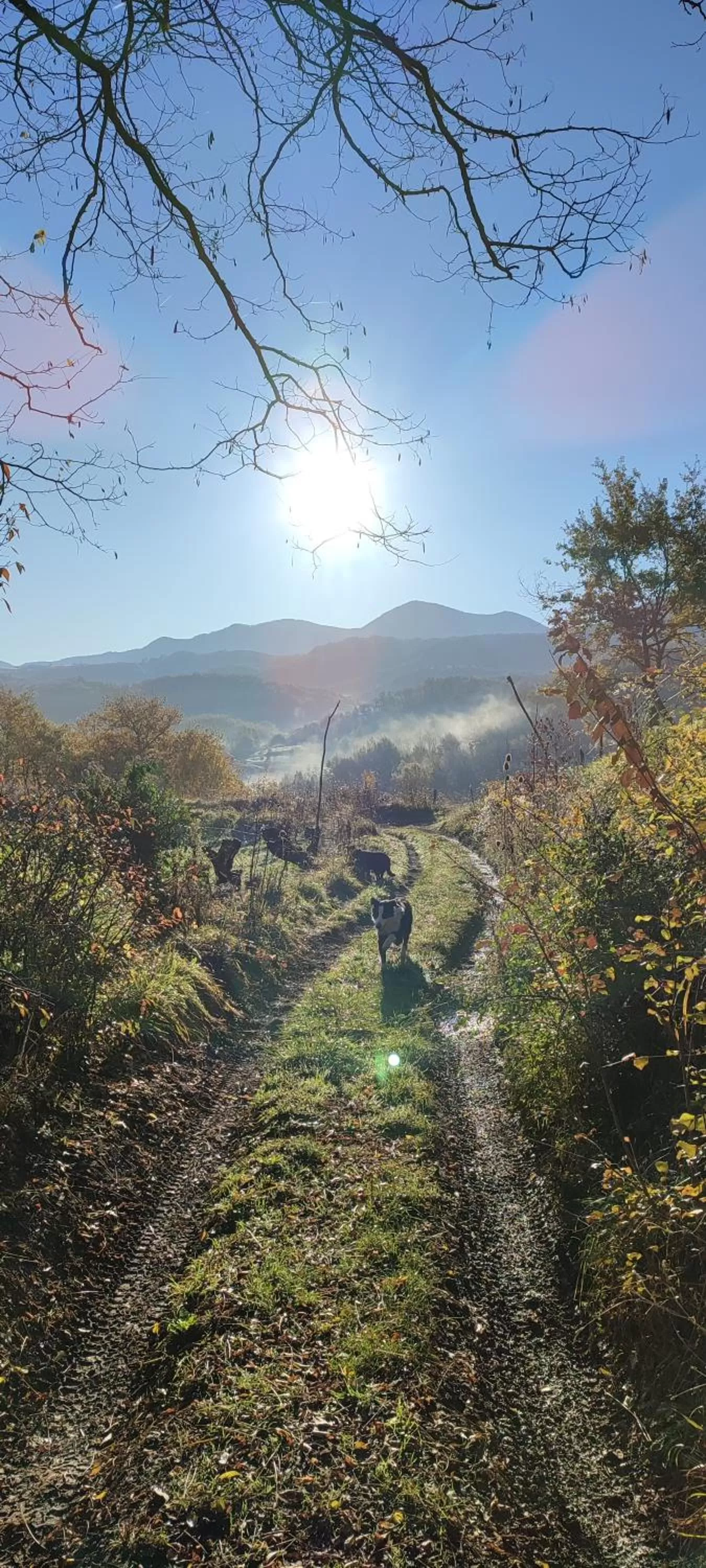 Domaine Le Lanis Chambre d'hôtes avec spa sur réservation