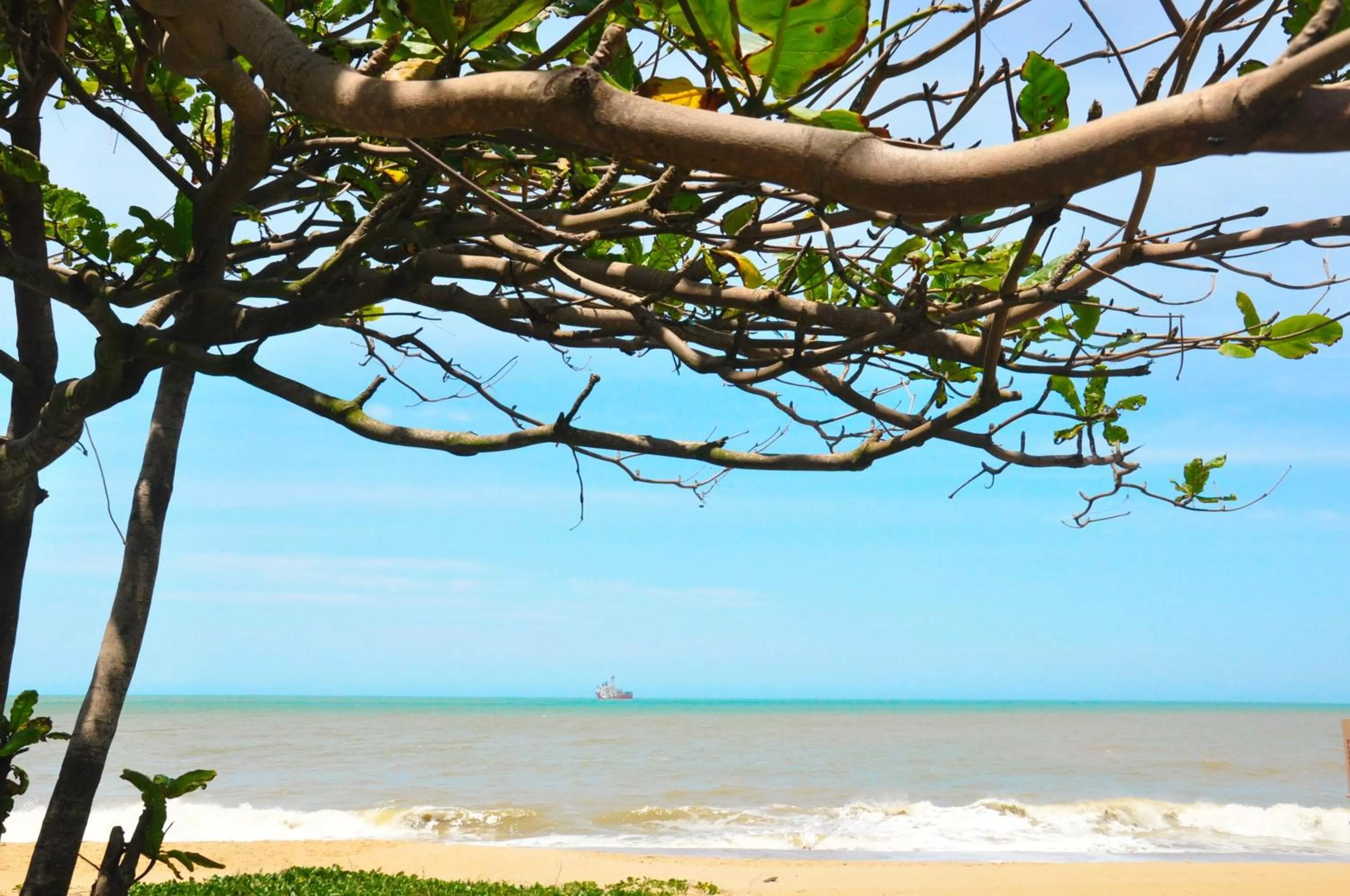 Beach in Royal Atlântica Macaé Hotel