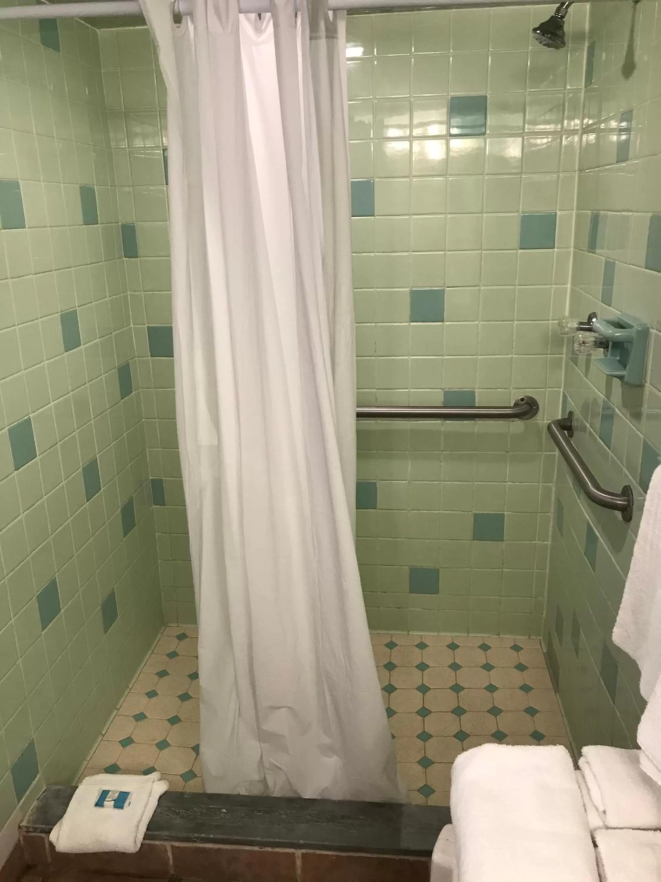Shower in Simmons Motel and Suites