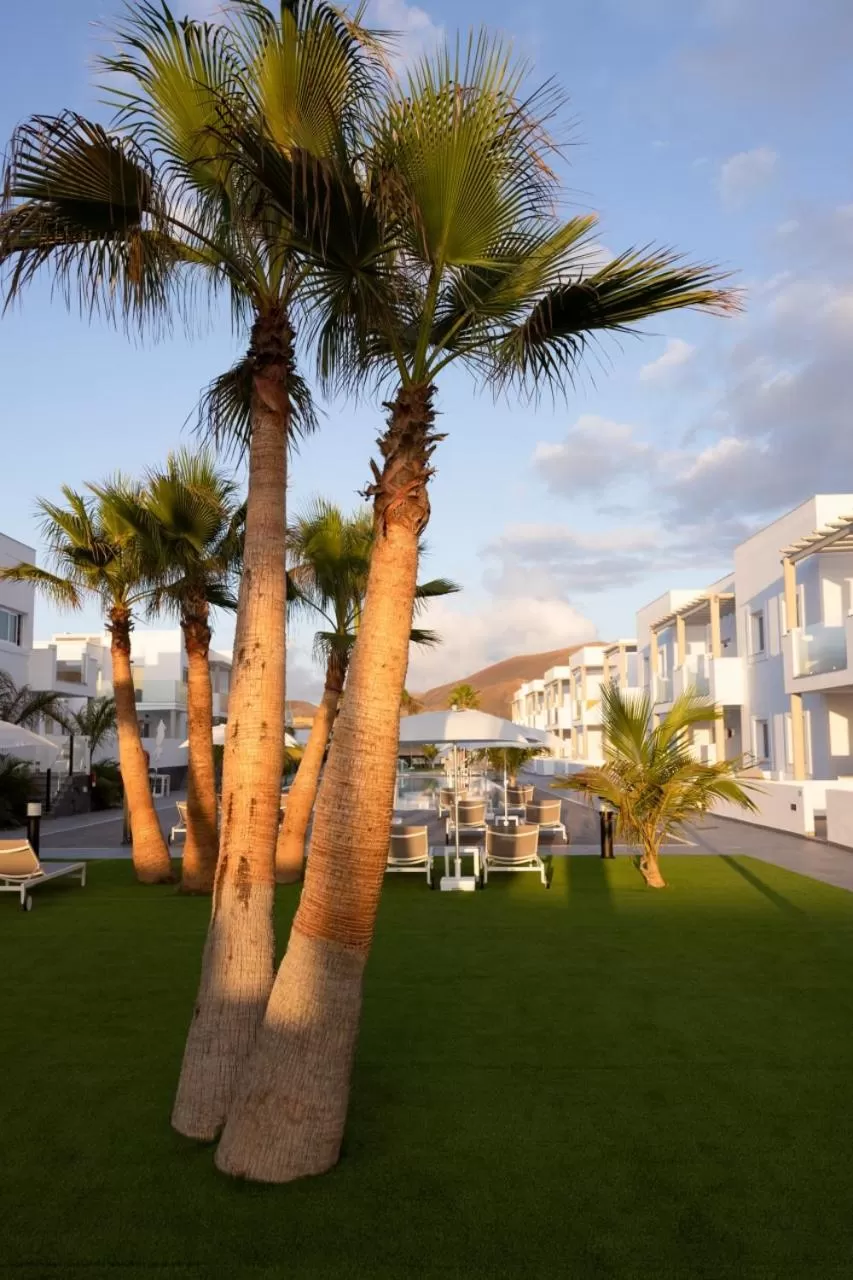 Garden in Island Home Fuerteventura