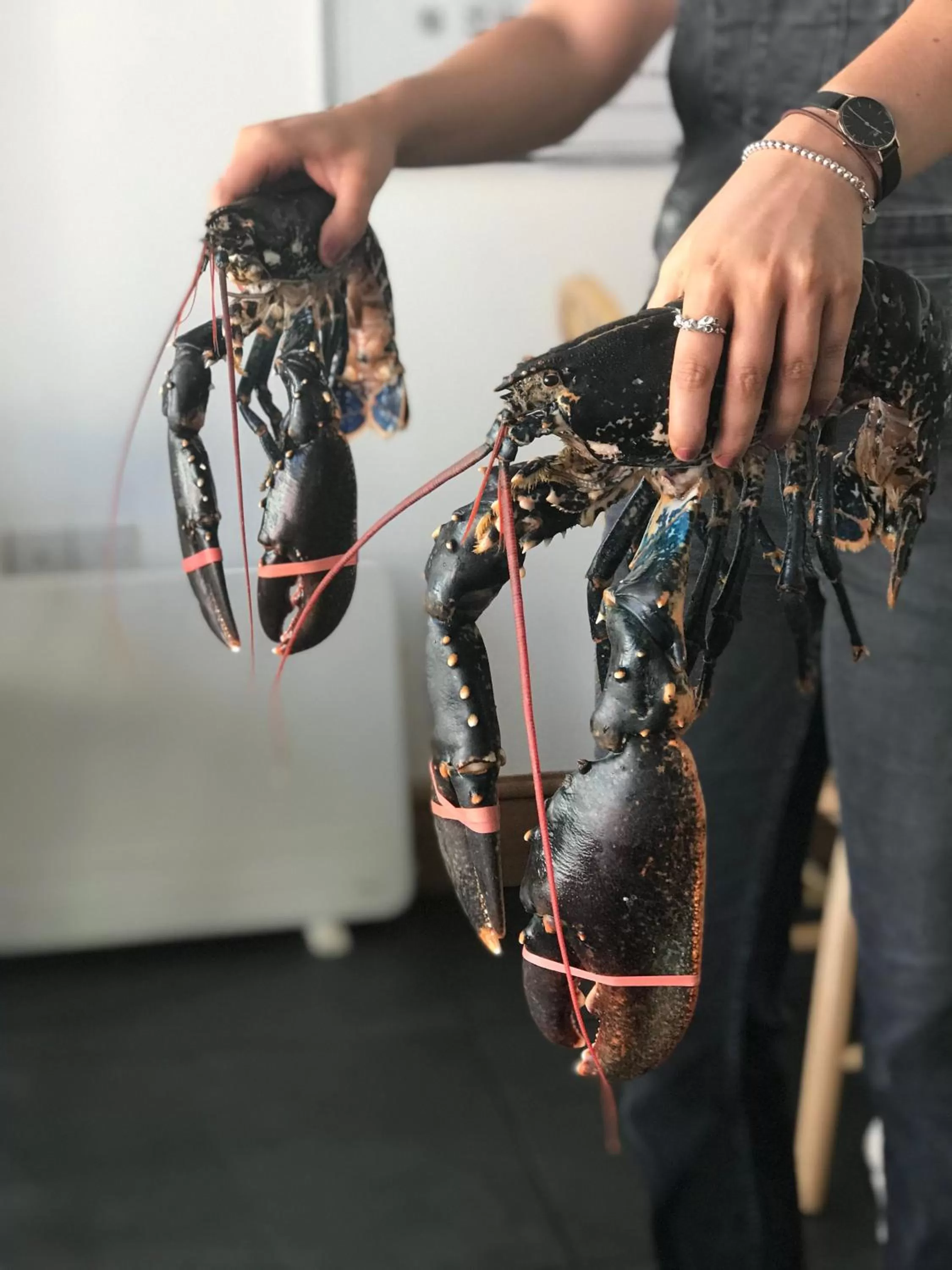 Other in St Davids Gin & Kitchen - The Cathedral Villas