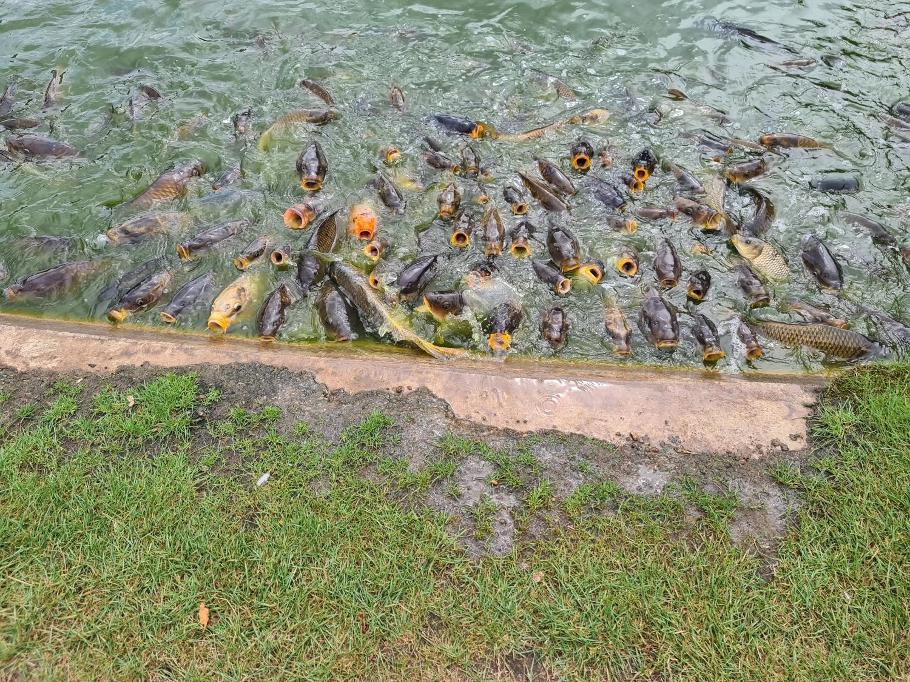 Natural landscape in Ria's B n B