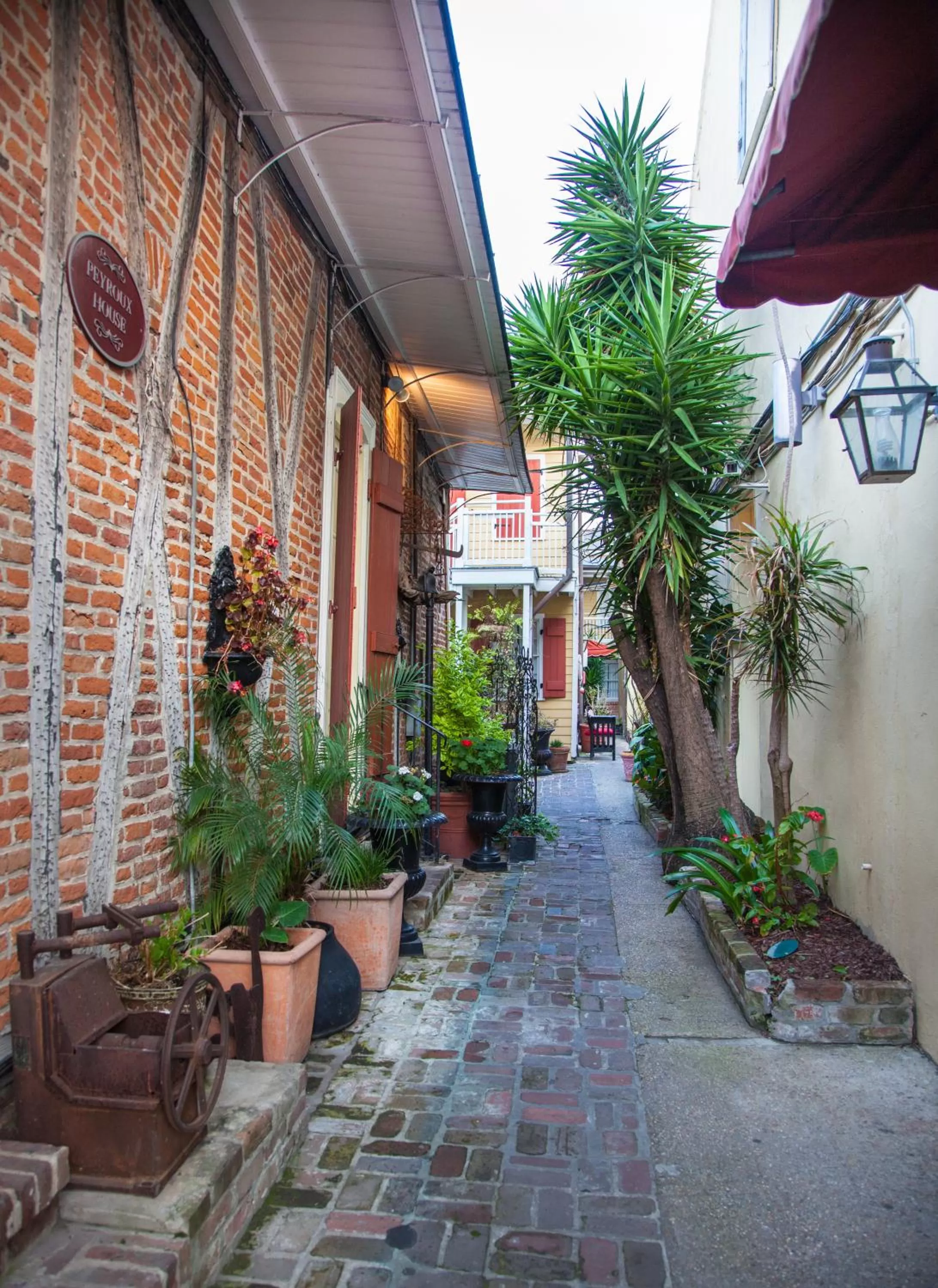 Garden in Hotel St. Pierre French Quarter