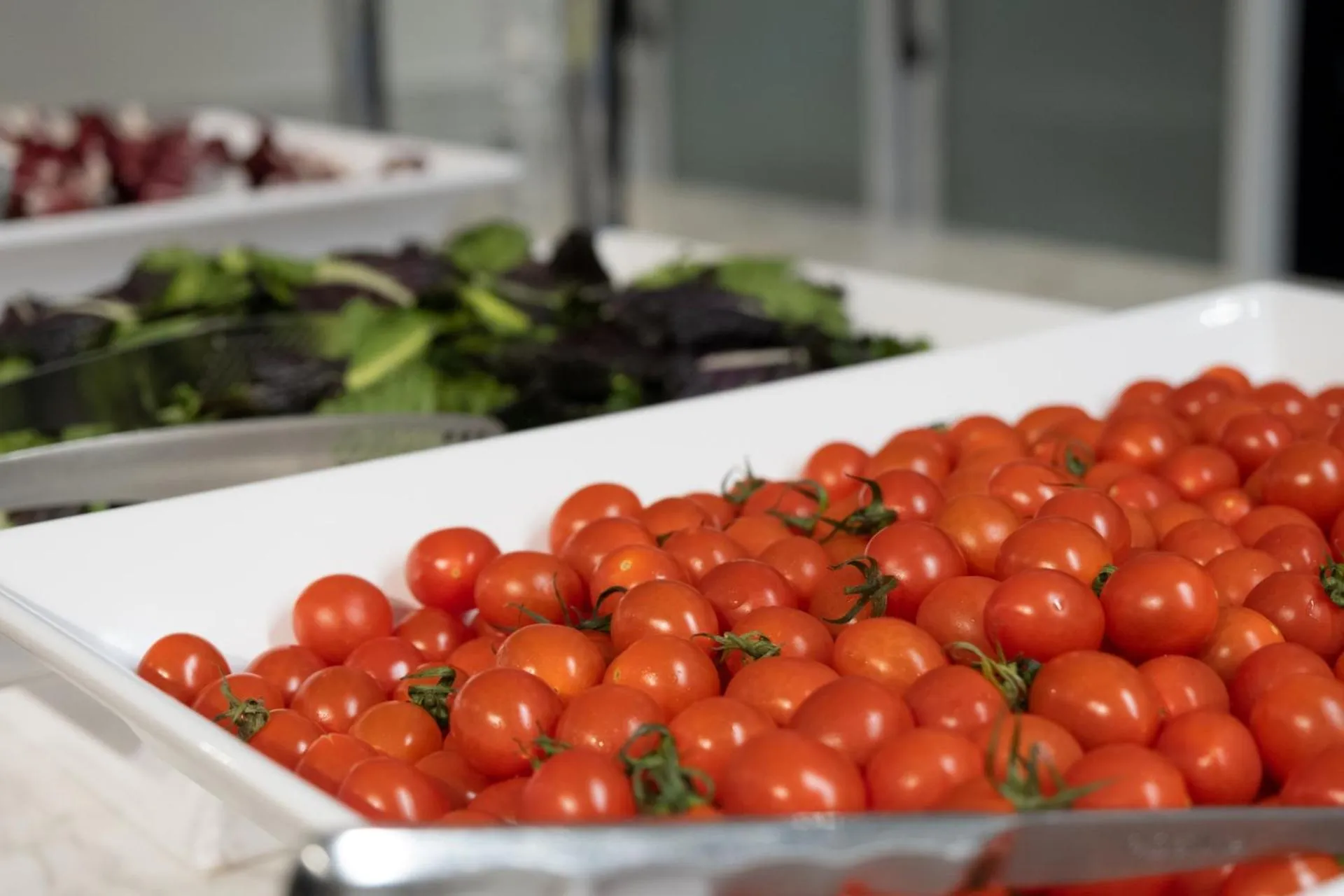 Breakfast in Hotel Whistlelark, BW Signature Collection