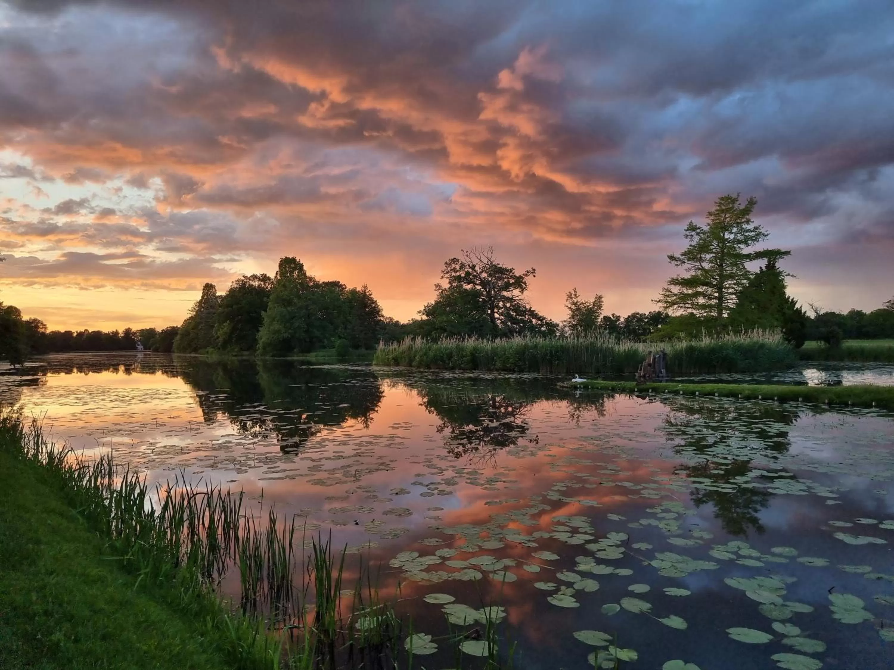 Nearby landmark in Hotel Landhaus Wörlitzer Hof