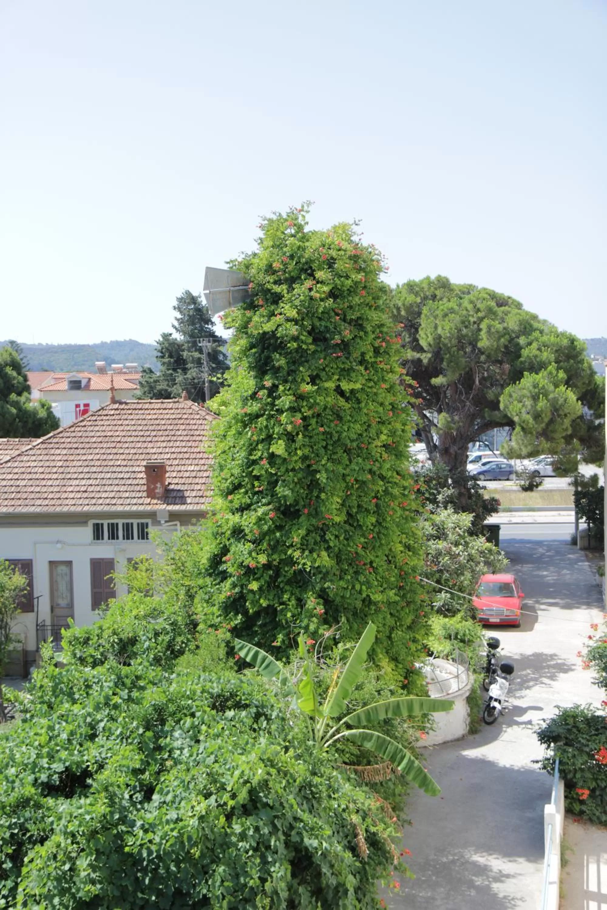 Street view in Platoni Elite