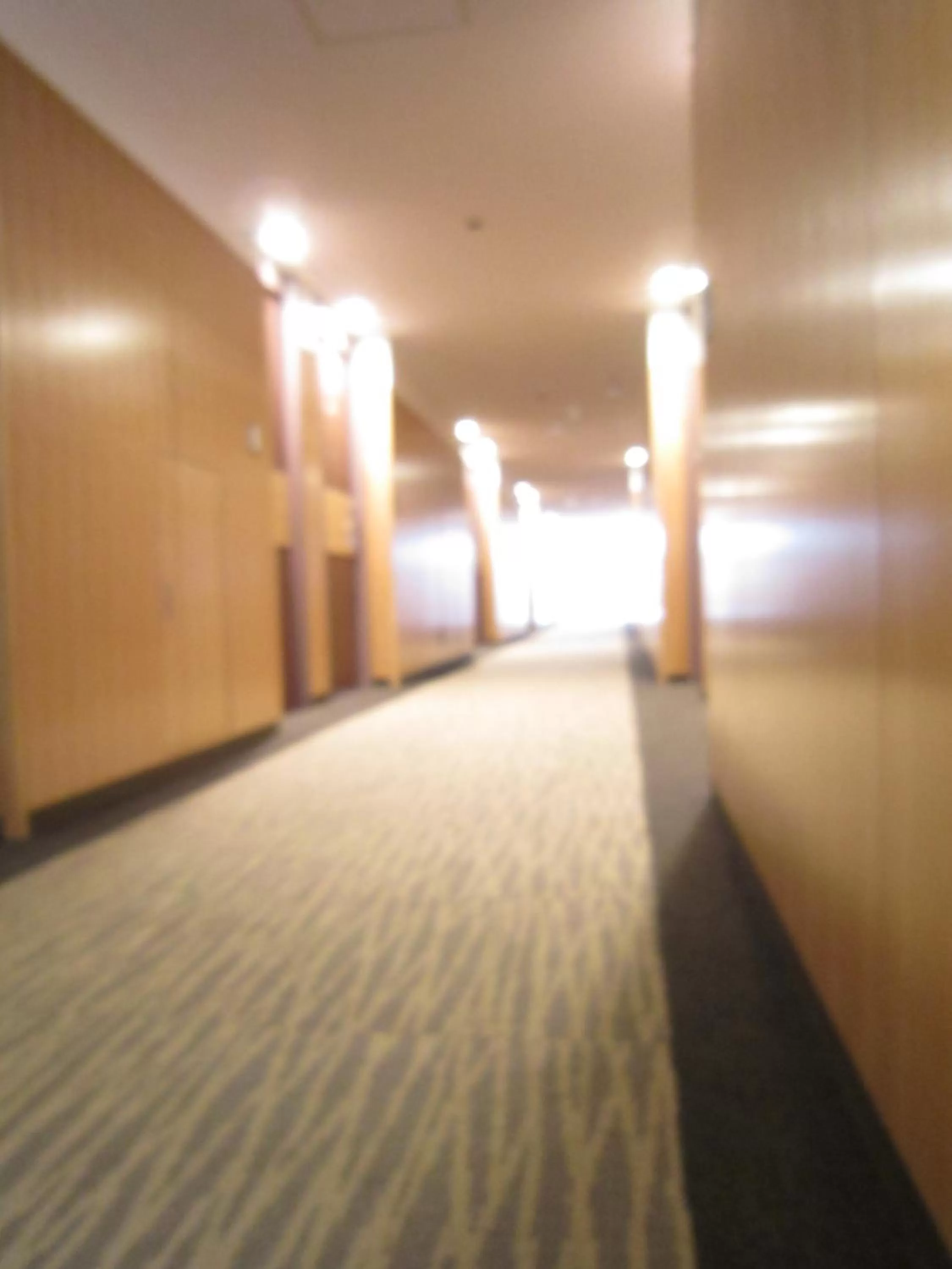 Other in Nagaoka Grand Hotel