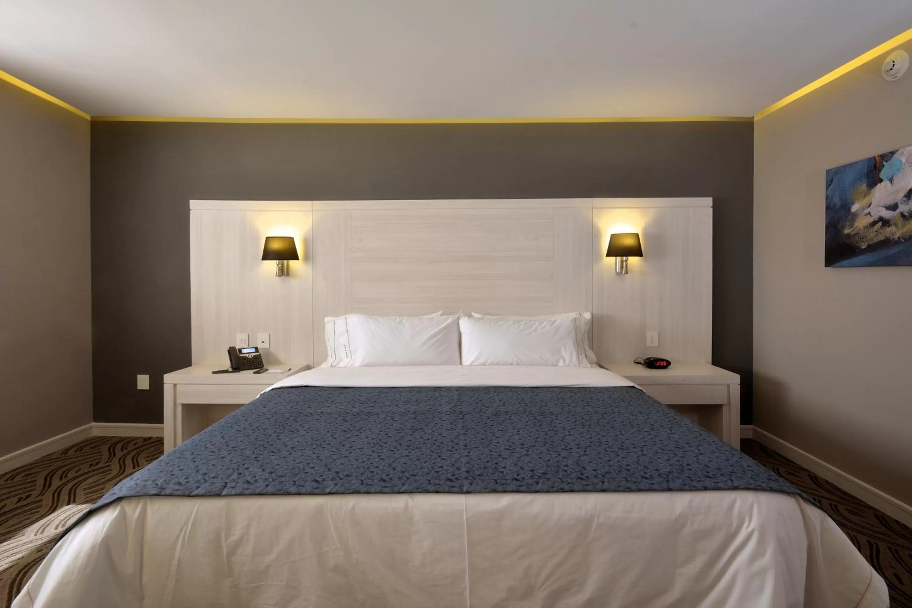 Photo of the whole room, Bed in Holiday Inn Express Pachuca by IHG