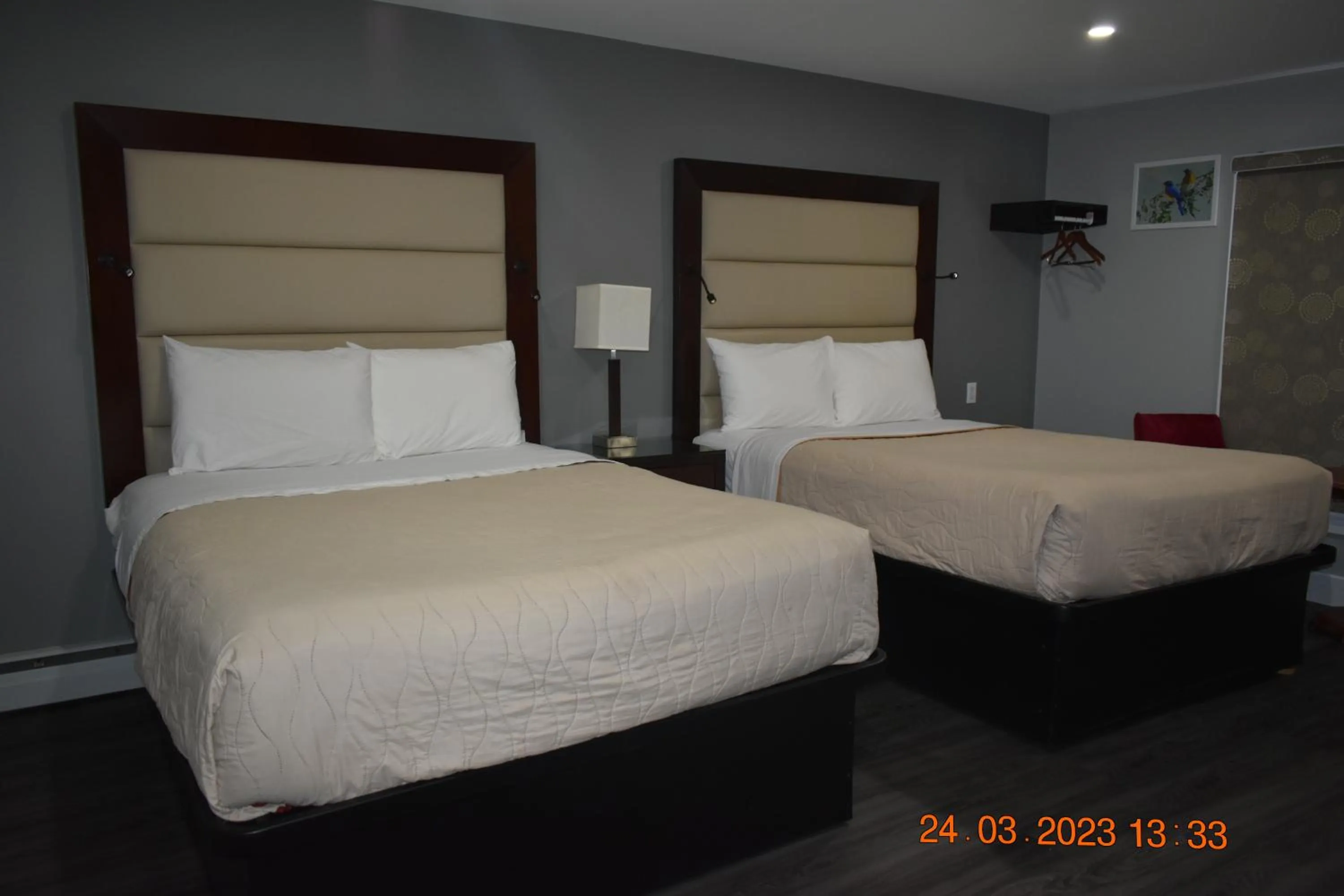 Bed in Time Travellers Motel