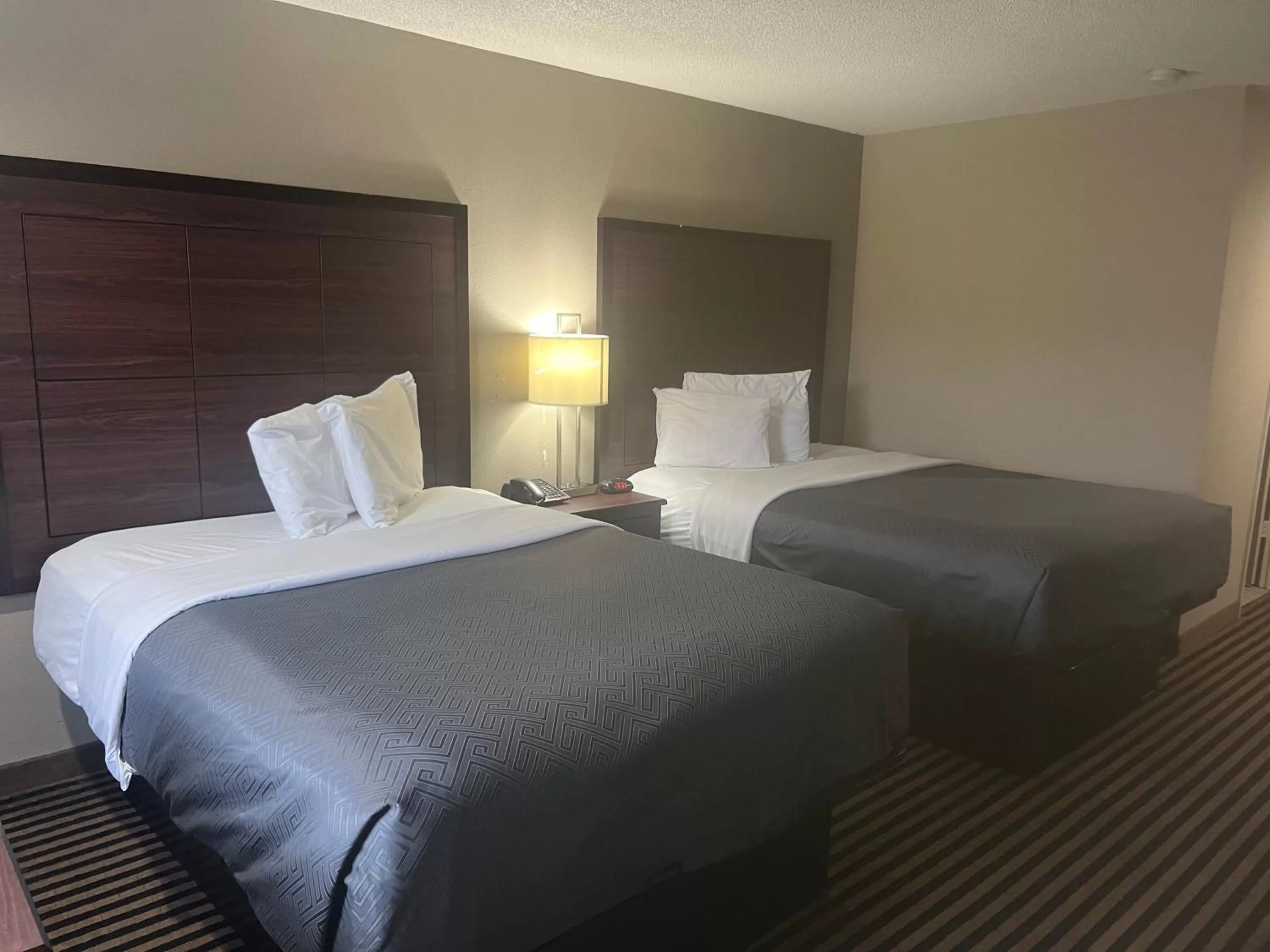 Bed in Econo Lodge Florence - Darlington