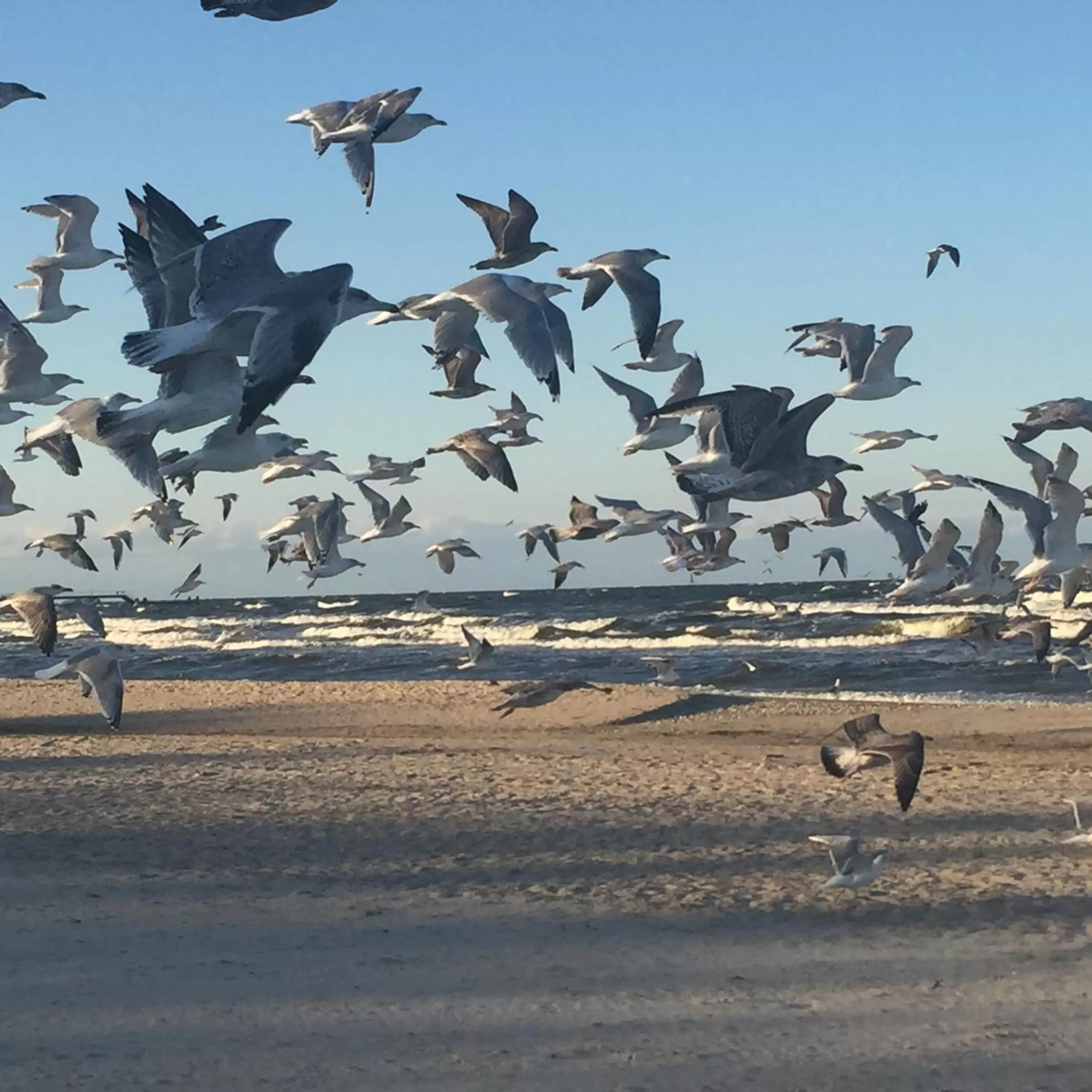 Beach in Willa 4 Pory Roku & Uznam