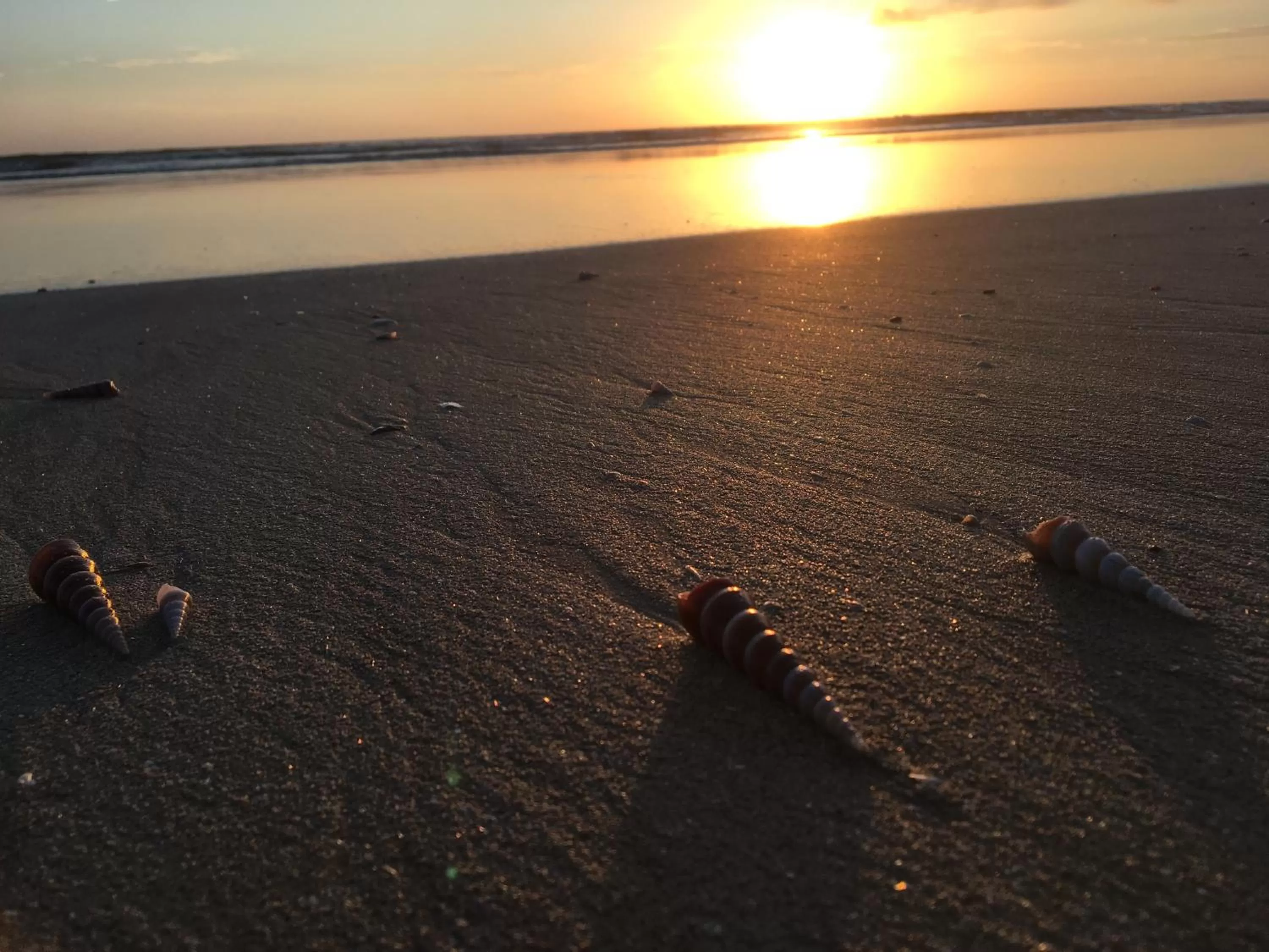 Natural landscape in OmBodhi Retreat