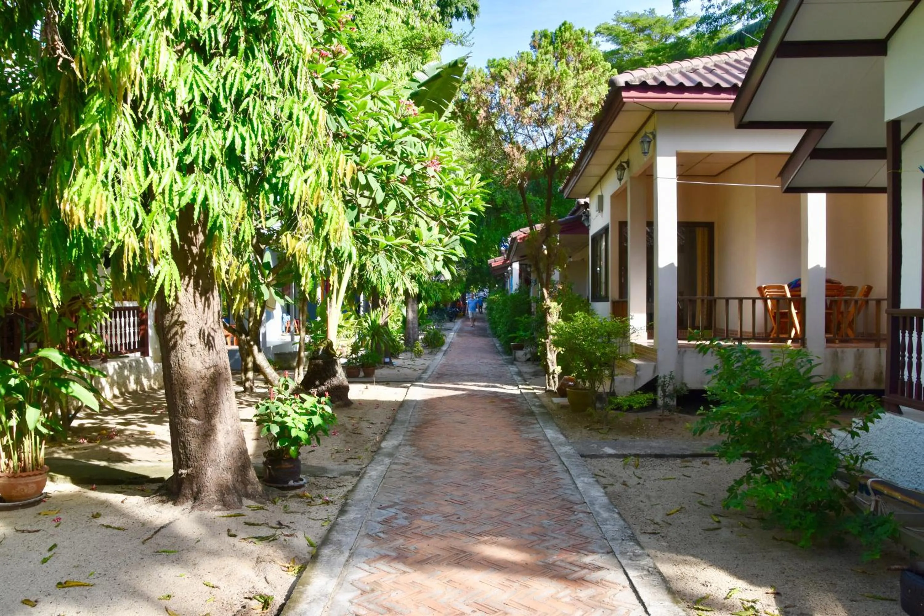 Garden view in Magic Resort