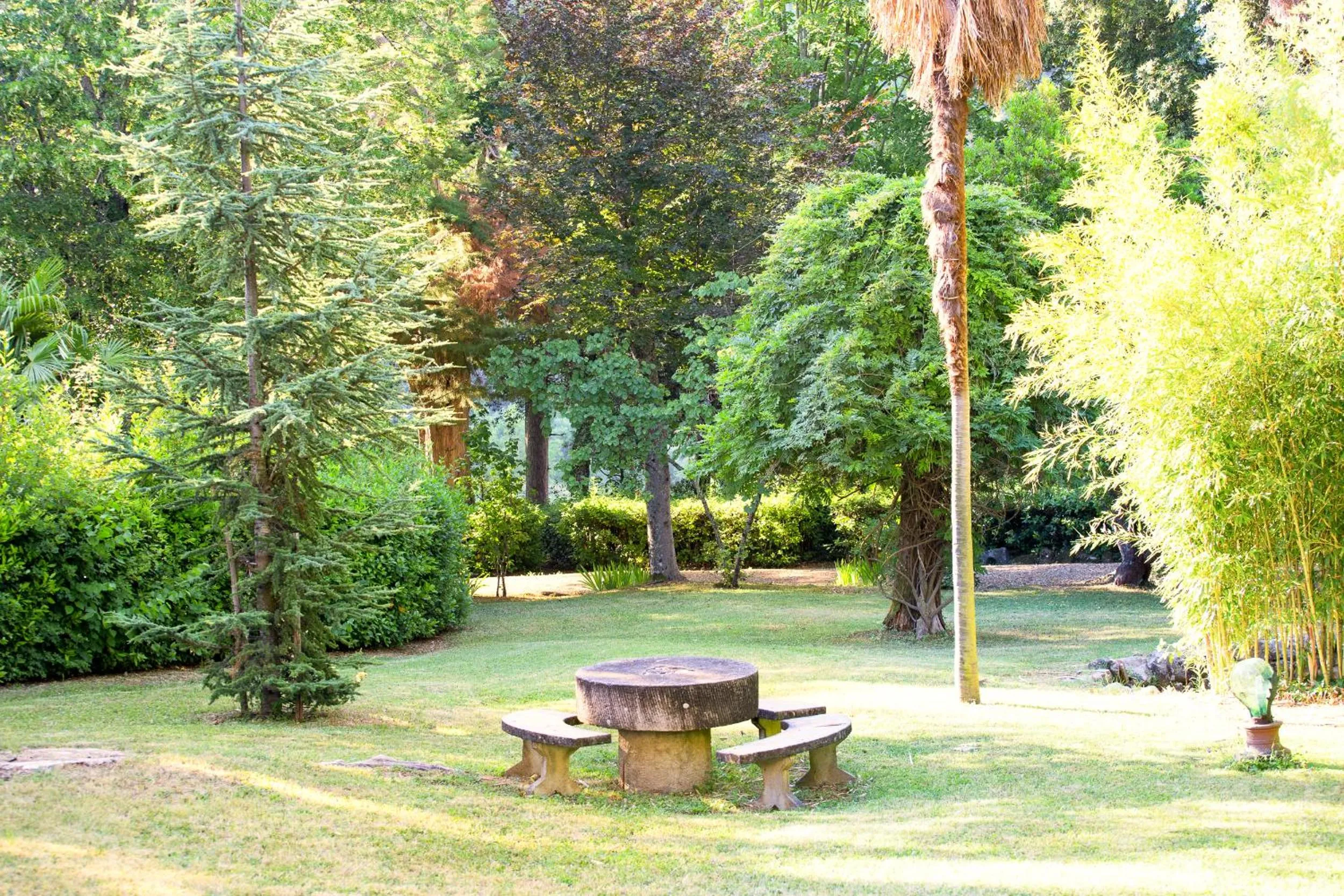 Garden in Villa Pitiana