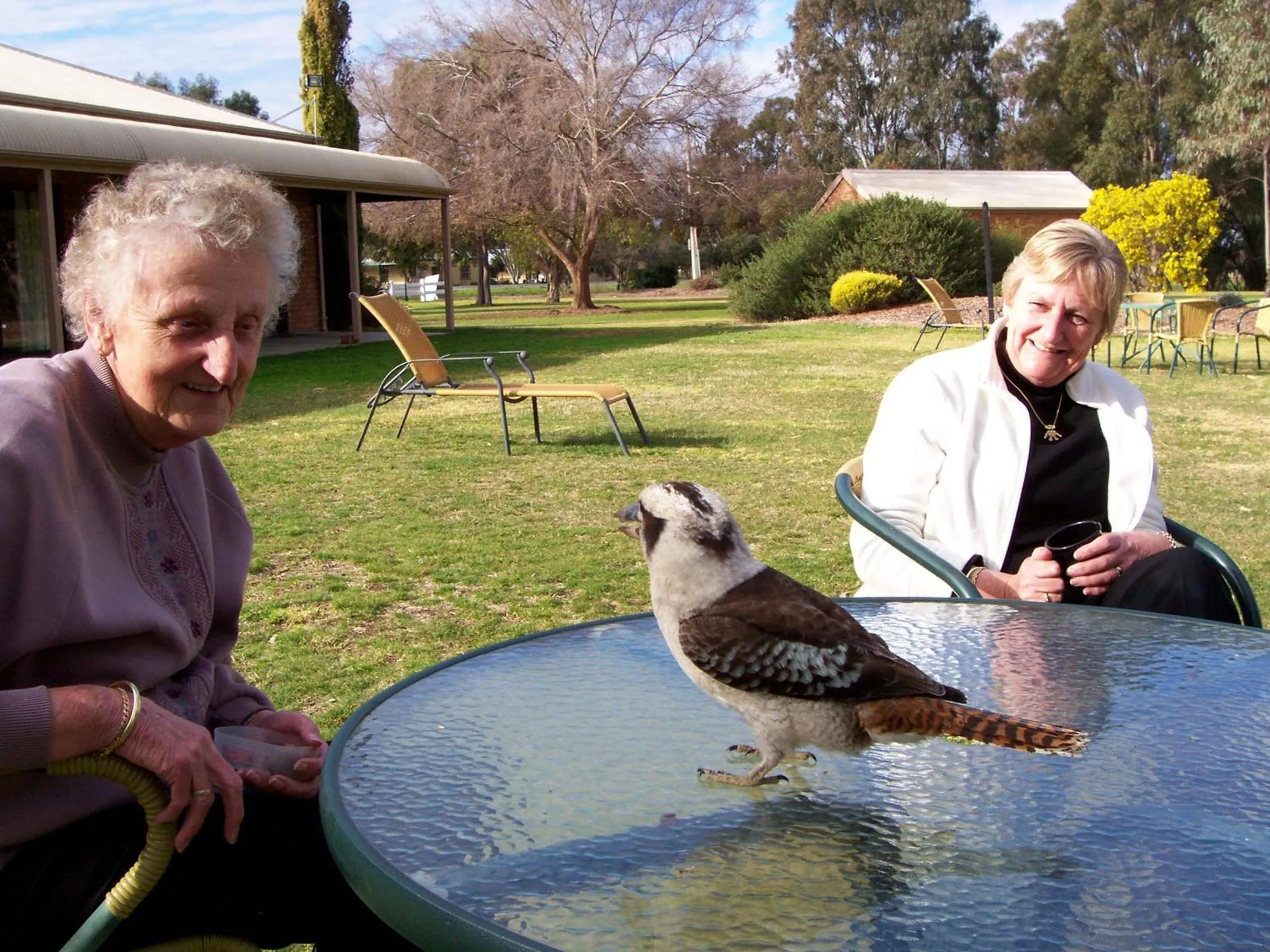 Animals in Cadell On The Murray Motel