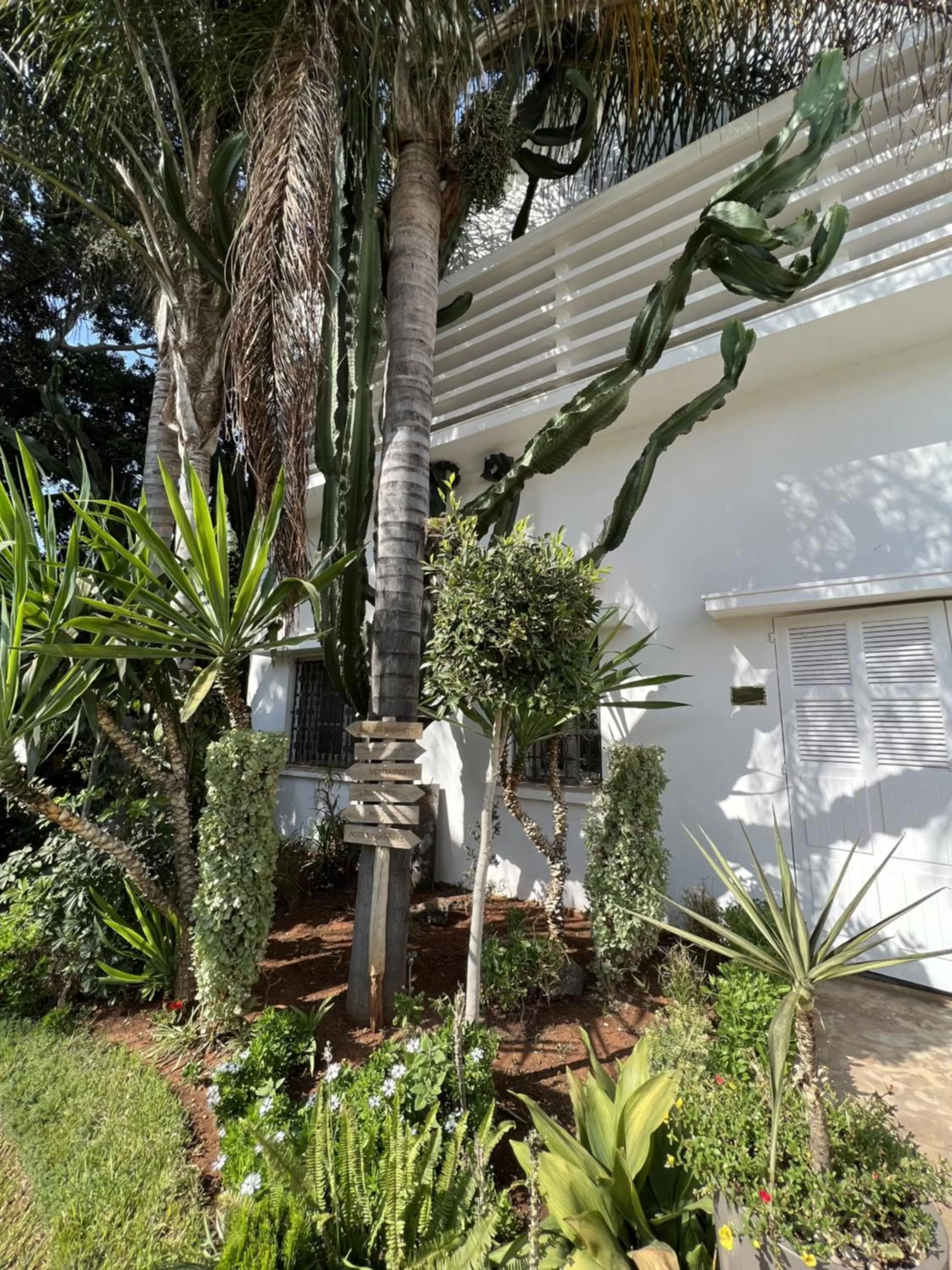 Garden in Le Sphinx Boutique Hôtel