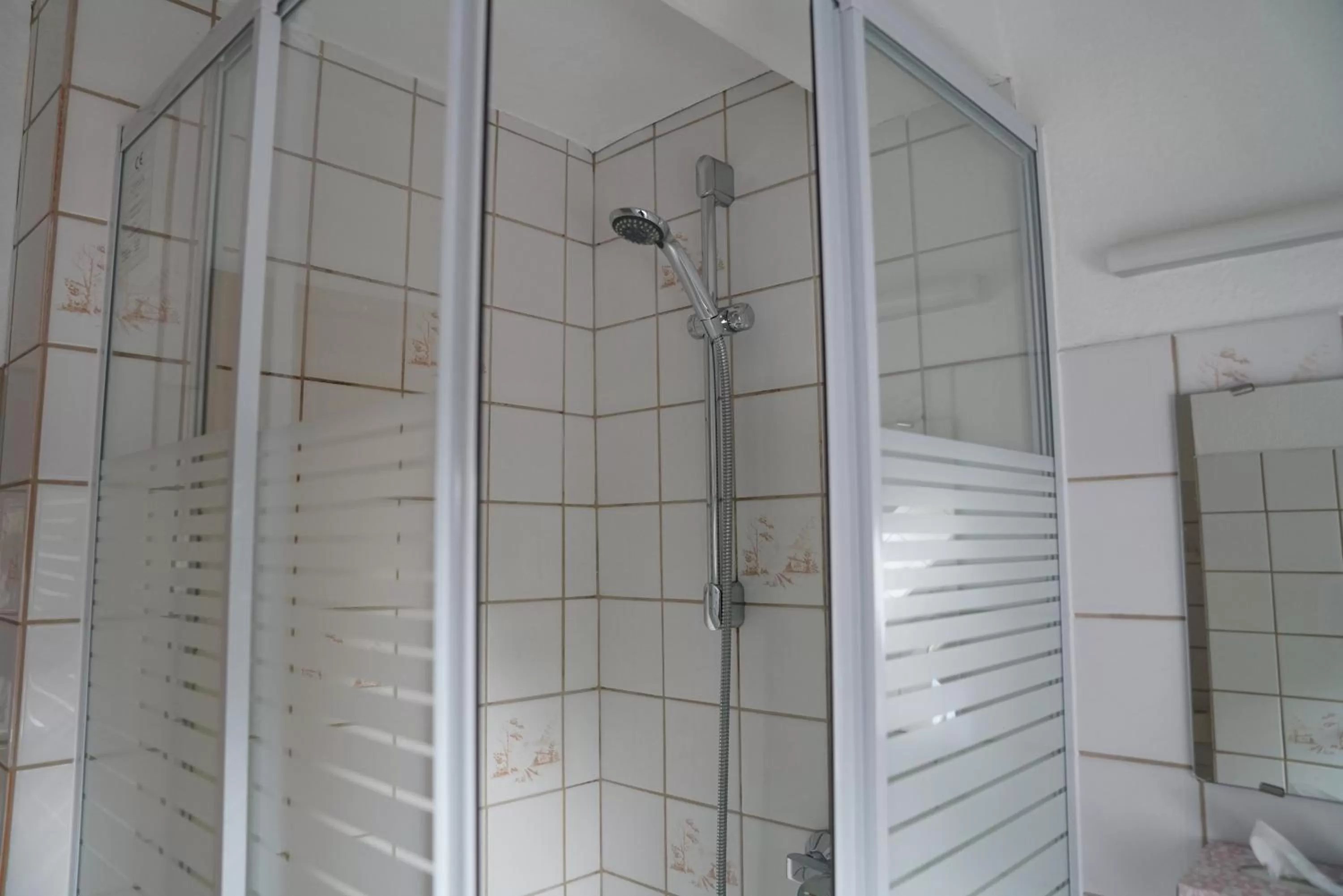 Shower in Hotel zum Grafen Hallermunt