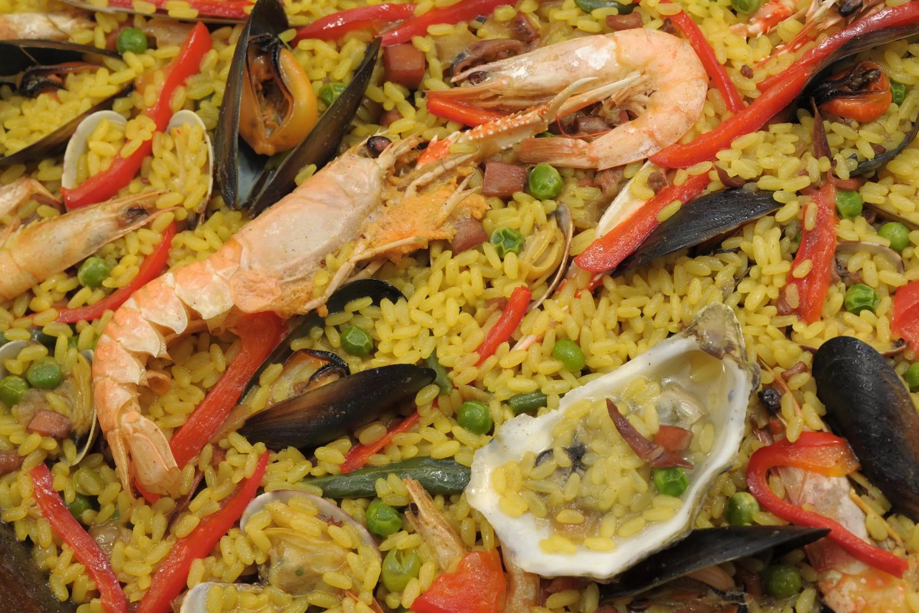 Restaurant/places to eat in Le suite del nostromo