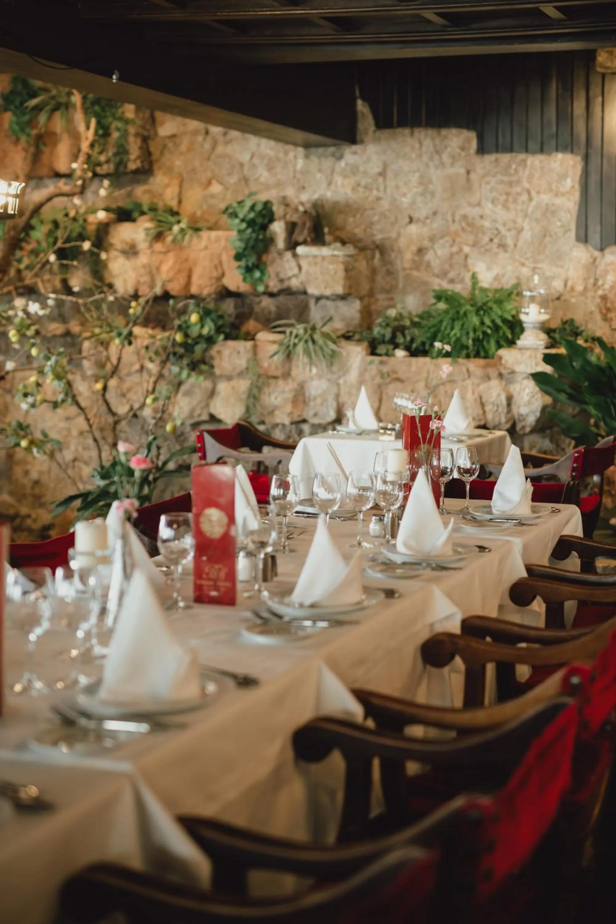 Restaurant/places to eat in Hotel Bon Sol Resort & Spa