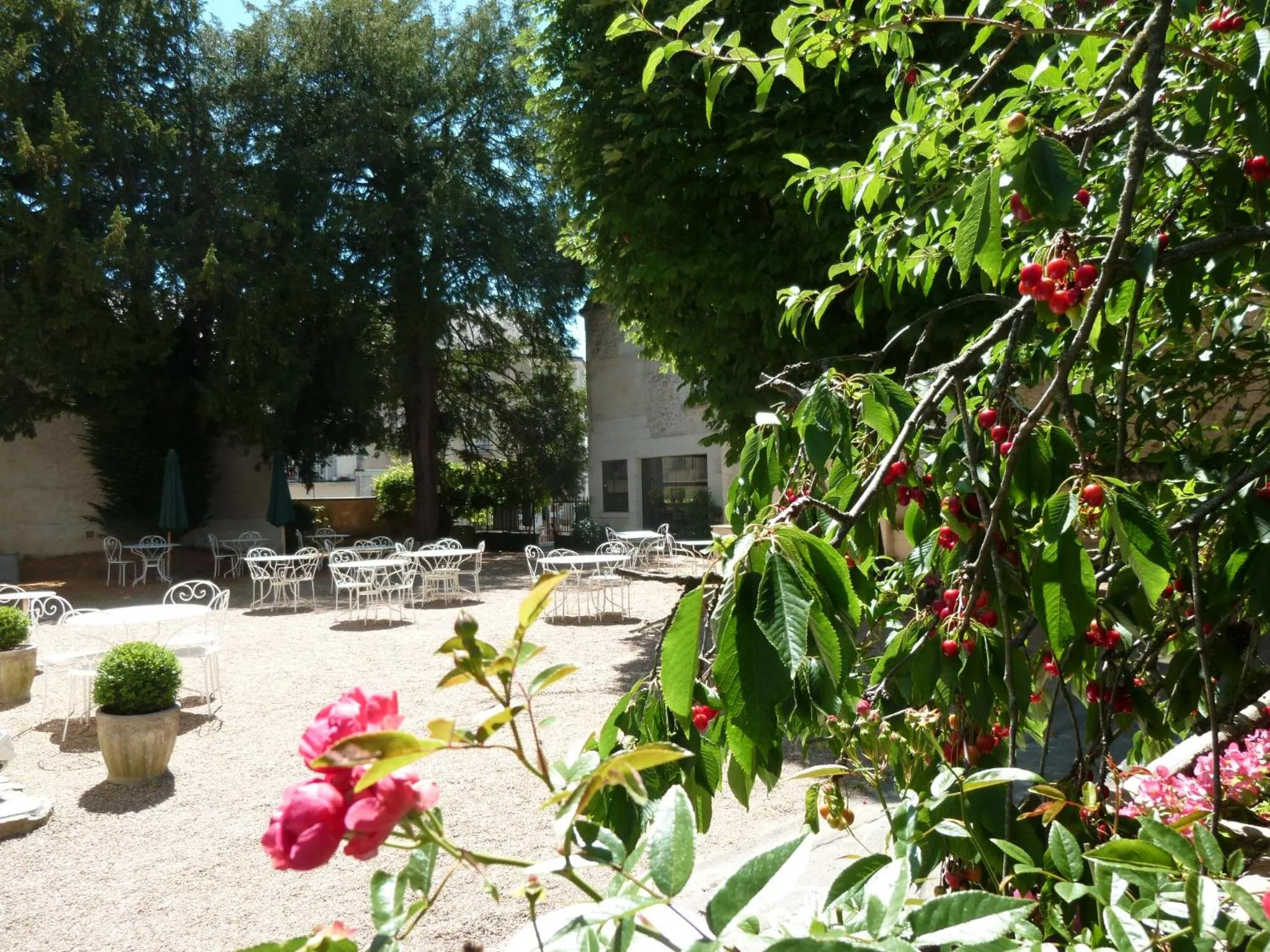 Patio in Hôtel Grand Monarque