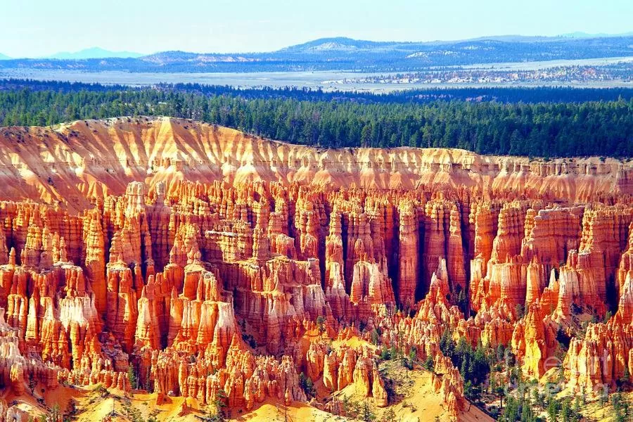 Natural Landscape in Bryce Way Motel