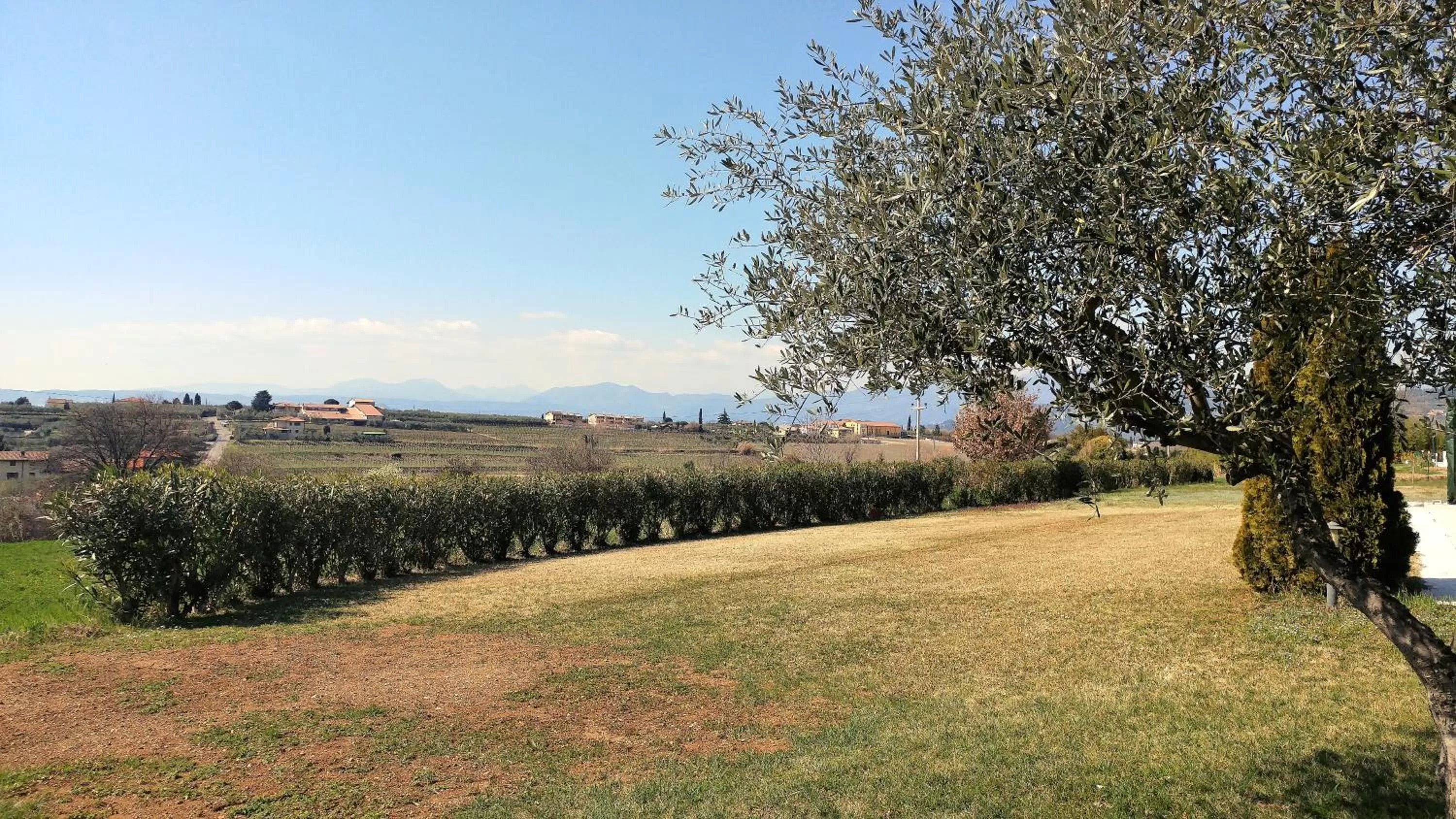 View (from property/room) in AGRITURISMO MELOGRANO D'ORO