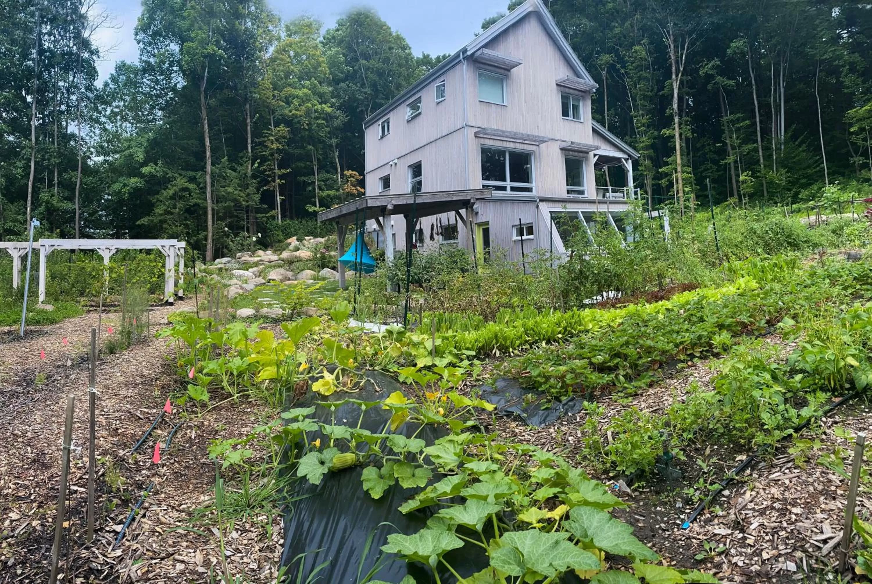Garden, Property Building in Le Camp Caché Shefford
