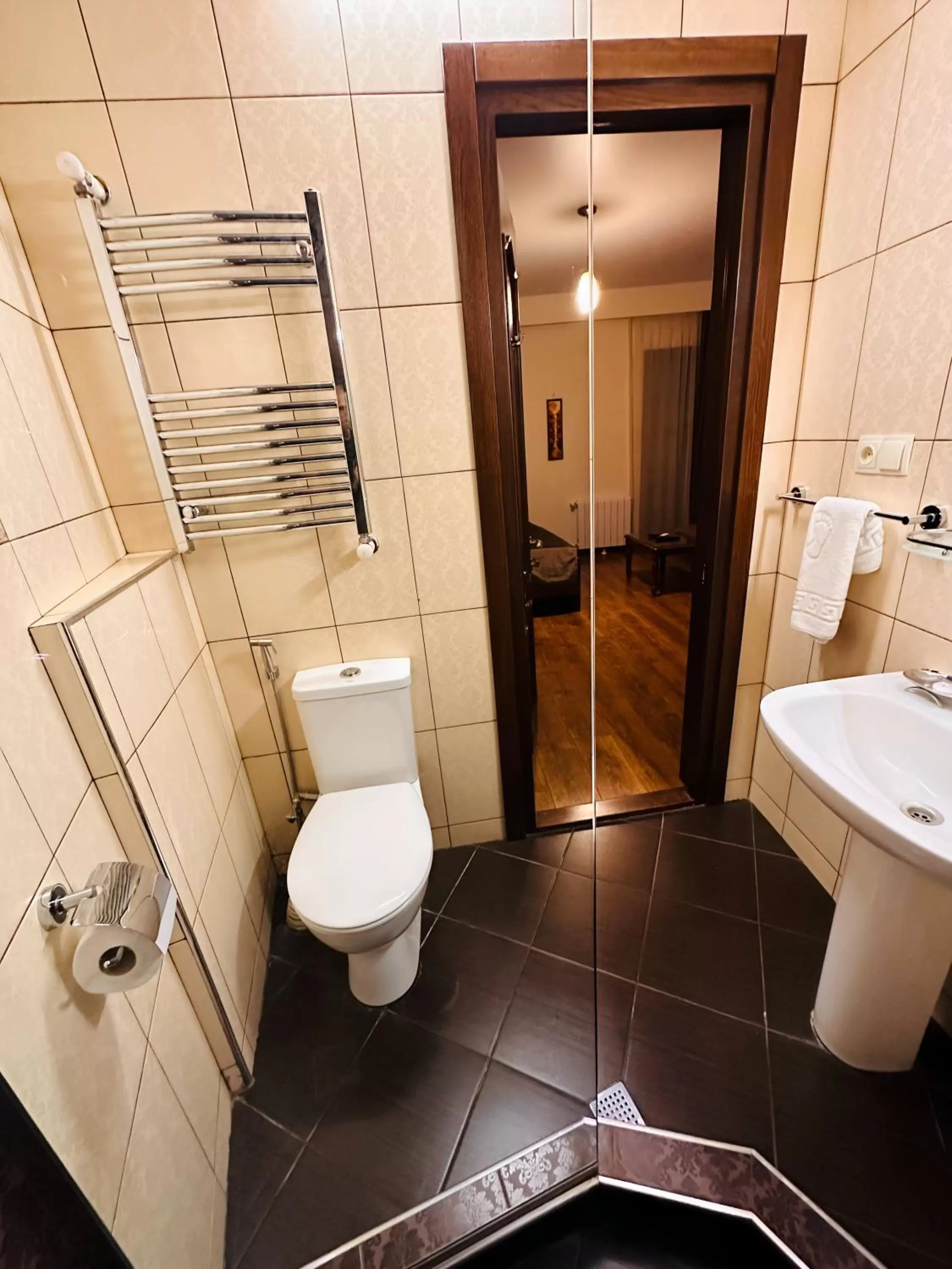 Toilet in Hotel British House