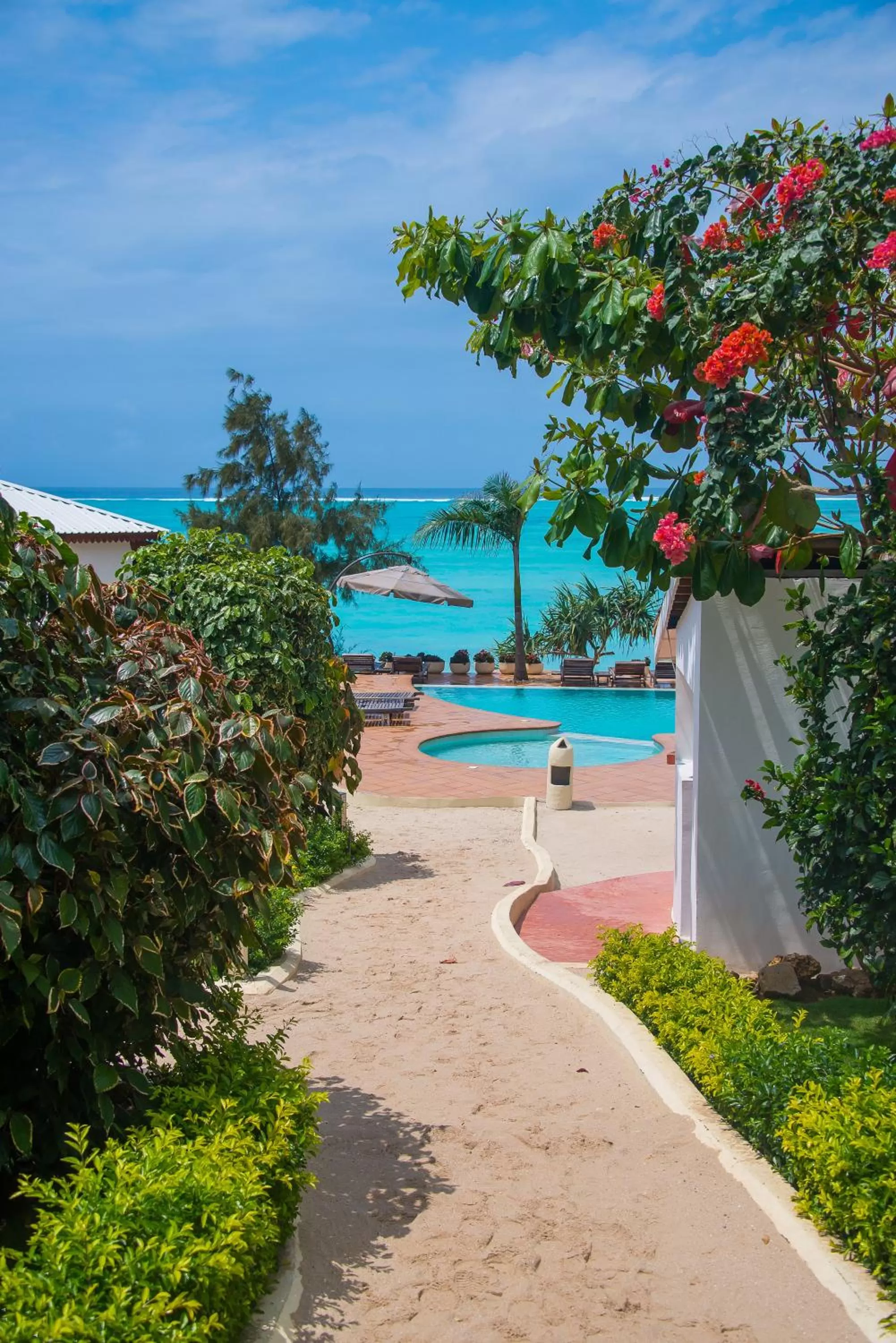 Garden in Warere Beach